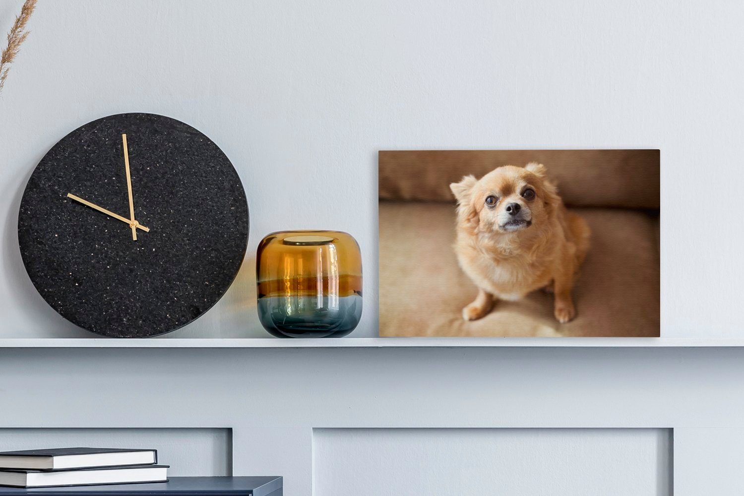 OneMillionCanvasses® Leinwandbild Ein süßer Chihuahua Aufhängefertig, cm dem auf sitzt (1 St), Sofa, Wanddeko, 30x20 Wandbild Leinwandbilder