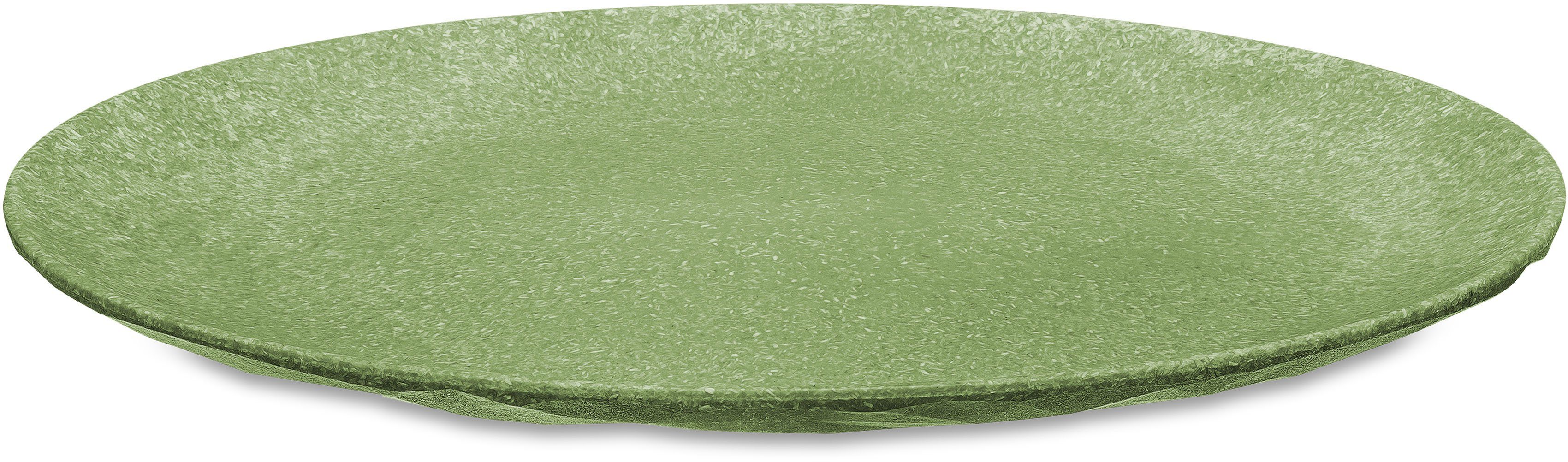 KOZIOL Speiseteller CLUB PLATE, Ø 26 cm, spülmaschinengeeignet, (4 St), aus biozirkulärem Kunststoff & FSC® zertifiziertem Holz, melaminfrei