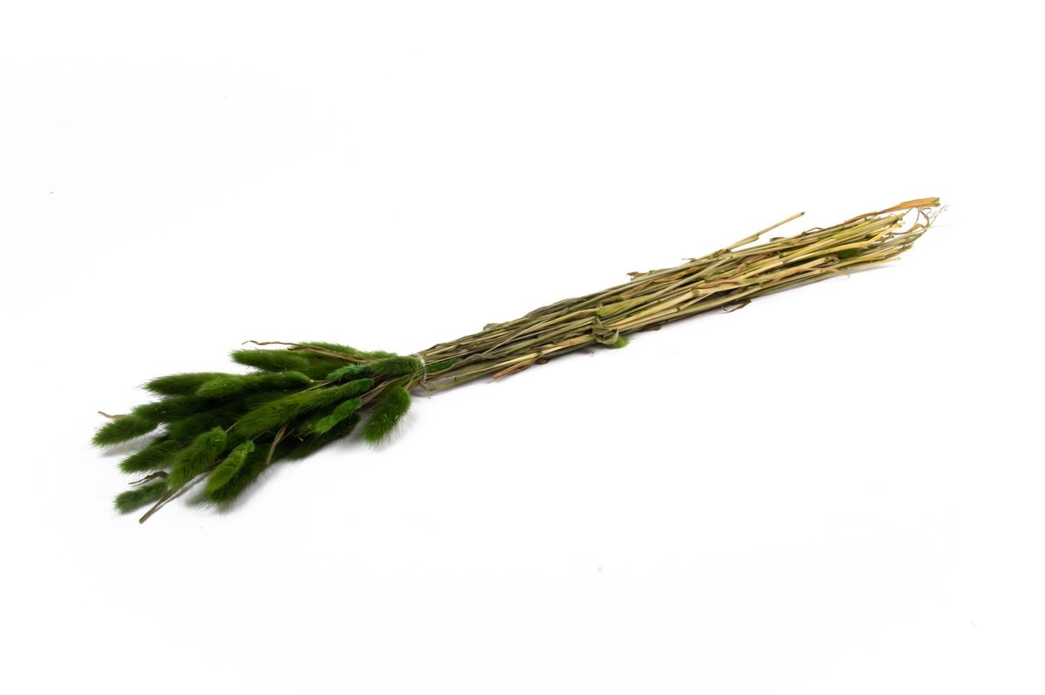 Trockenblume Getrocknetes Lagurus Gras BORKA, Bund, grün, 5, INNA-Glas, Höhe 75.0 cm
