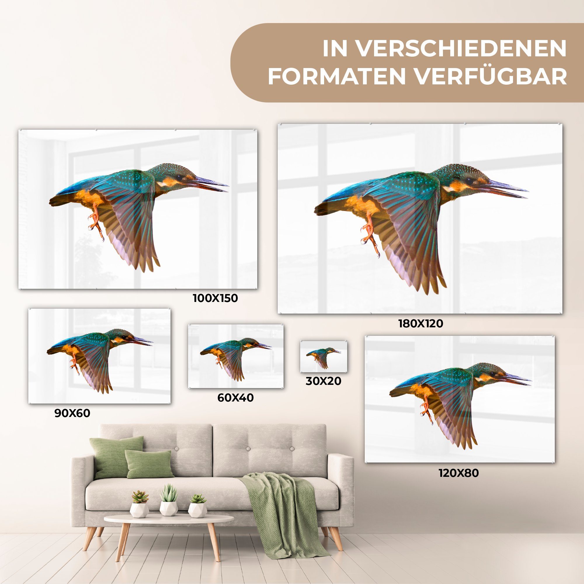 Acrylglasbild St), MuchoWow Fliegen (1 Eisvogel Acrylglasbilder - - Schlafzimmer Wohnzimmer & Tiere,