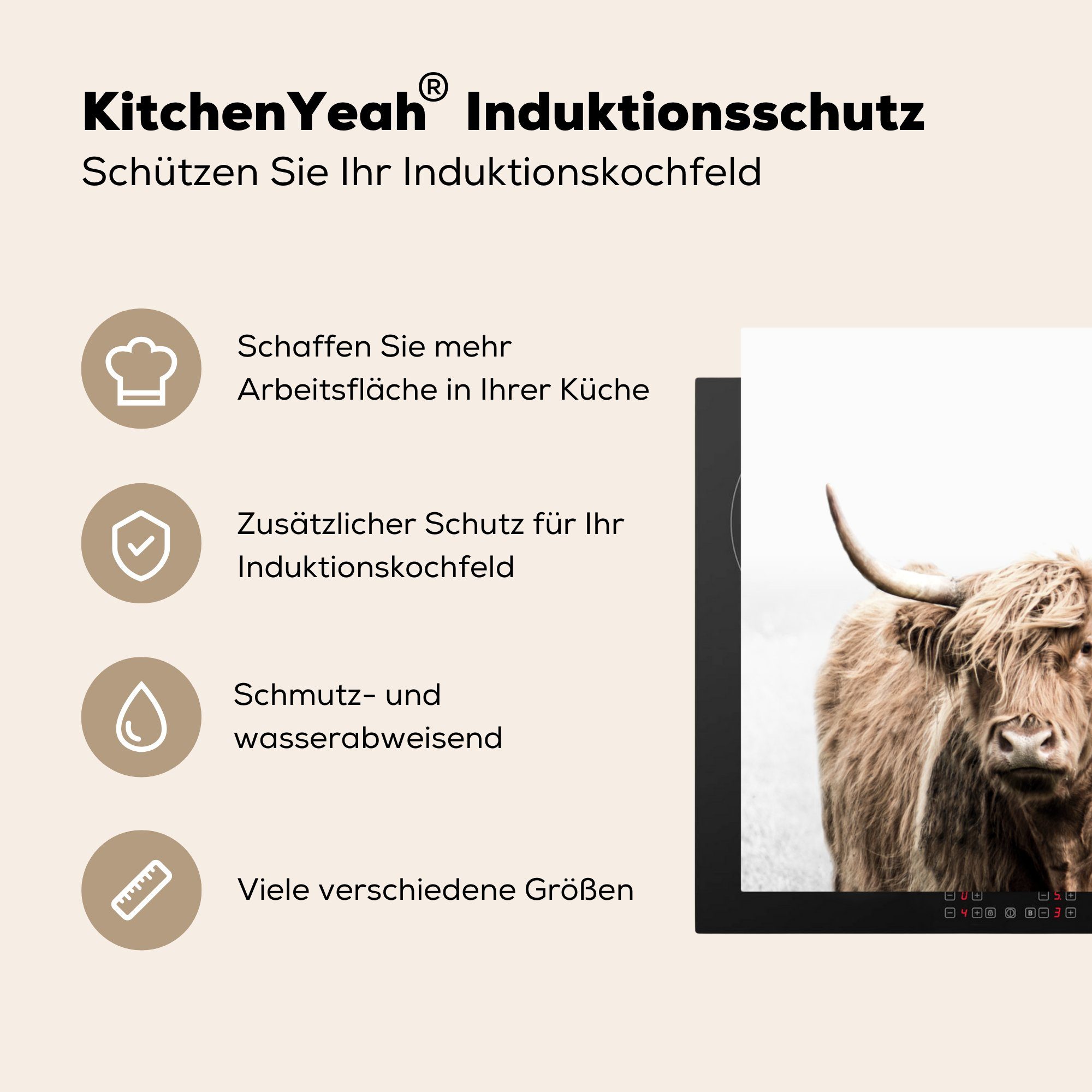 Highlander Herdblende-/Abdeckplatte MuchoWow 78x78 Schottischer - küche Ceranfeldabdeckung, Porträt (1 Tiere, für cm, Vinyl, tlg), Arbeitsplatte