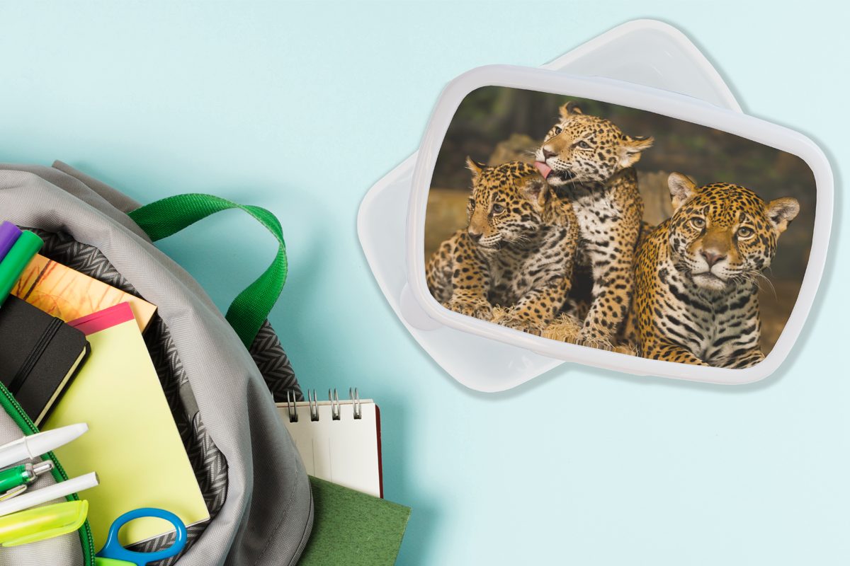 MuchoWow Lunchbox Leopard - Wilde Natur, Brotbox Erwachsene, (2-tlg), und Brotdose, Kunststoff, weiß Kinder für und Tiere Jungs - Mädchen für