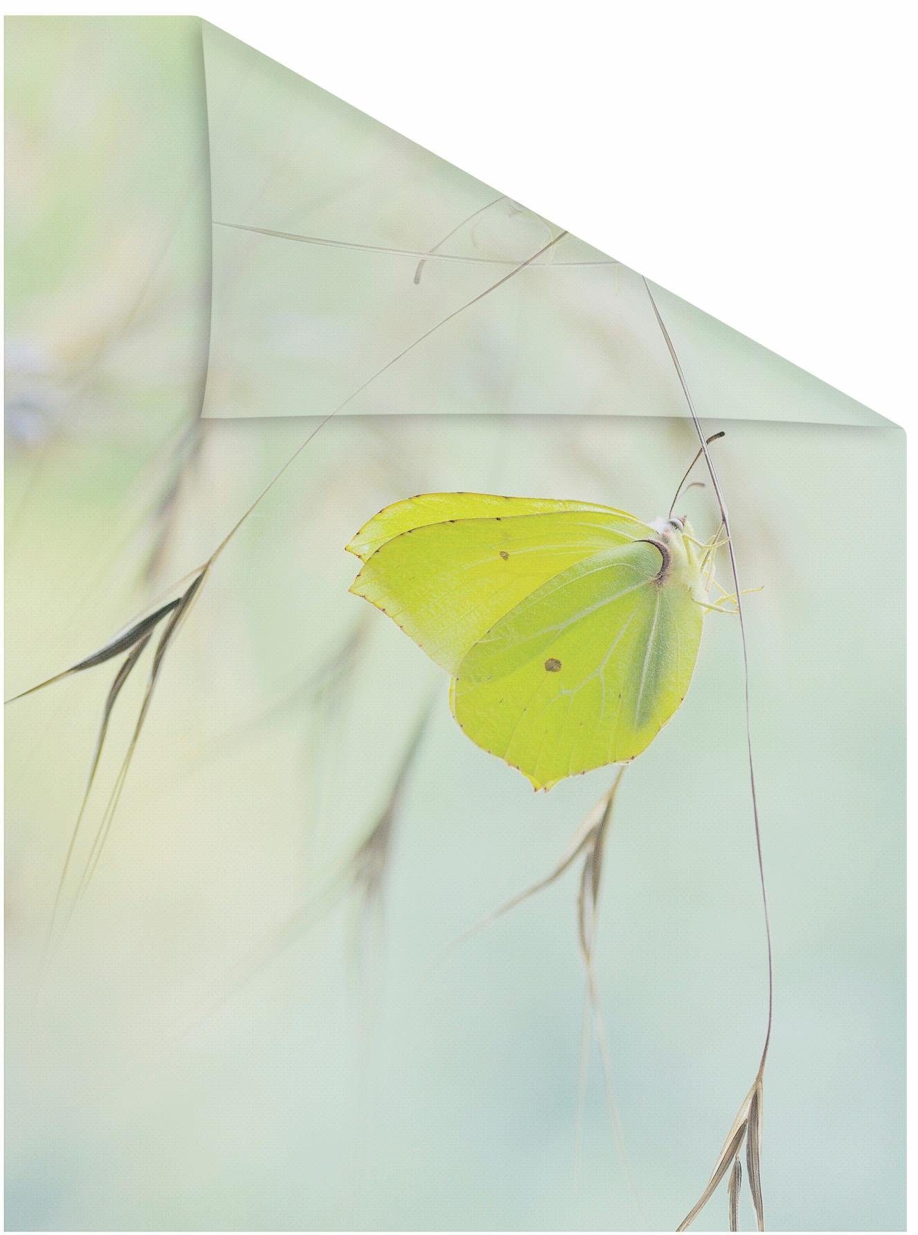 LICHTBLICK ORIGINAL Fensterfolie Schmetterling Grün, blickdicht, strukturiert, selbstklebend, Sichtschutz