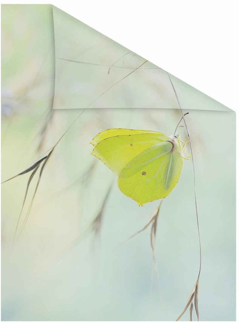 Fensterfolie Schmetterling Grün, LICHTBLICK ORIGINAL, blickdicht, strukturiert, selbstklebend, Sichtschutz