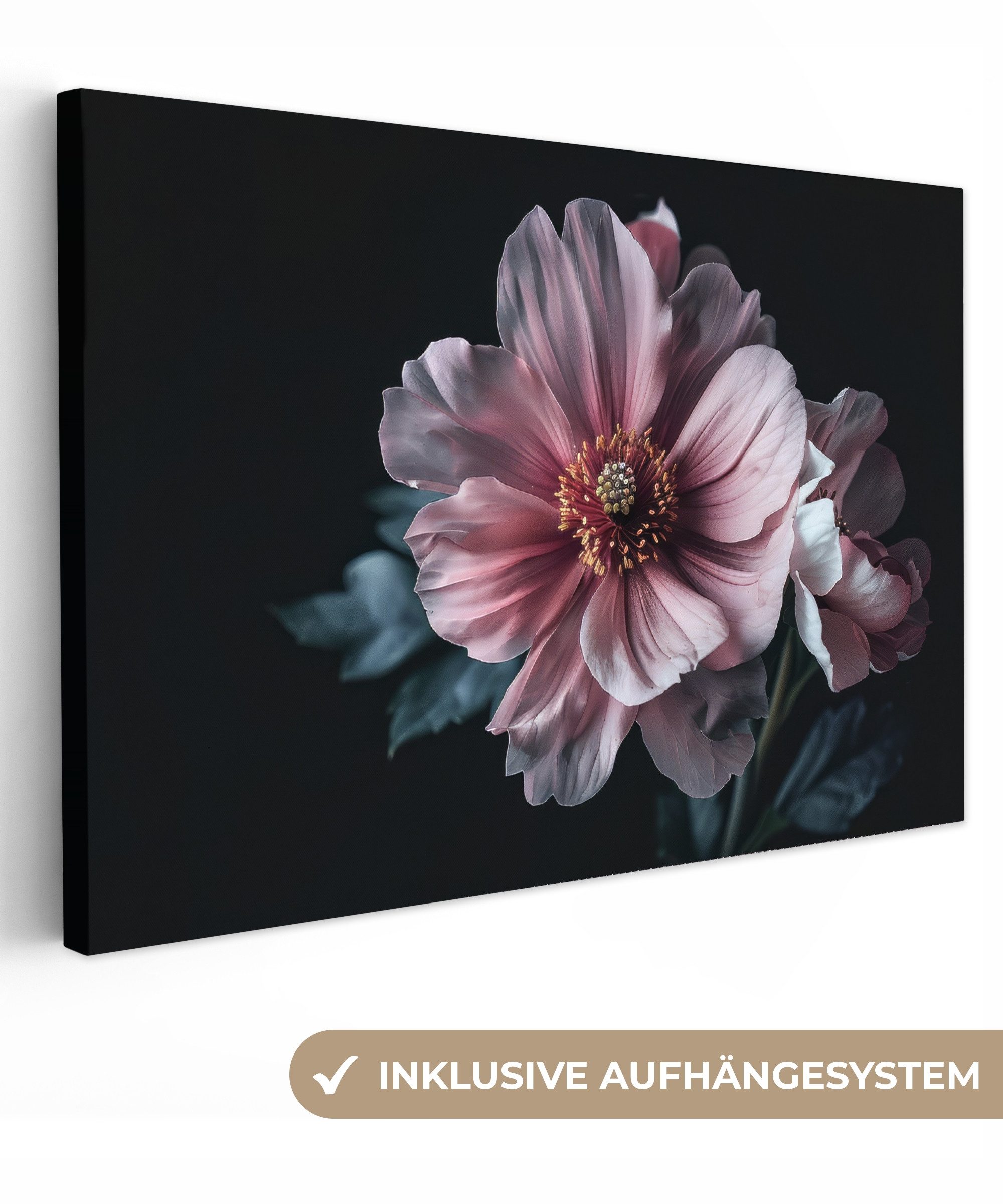 OneMillionCanvasses® Leinwandbild Blume - Rosa - Natur, Fotodruck (1 St), L günstig online kaufen