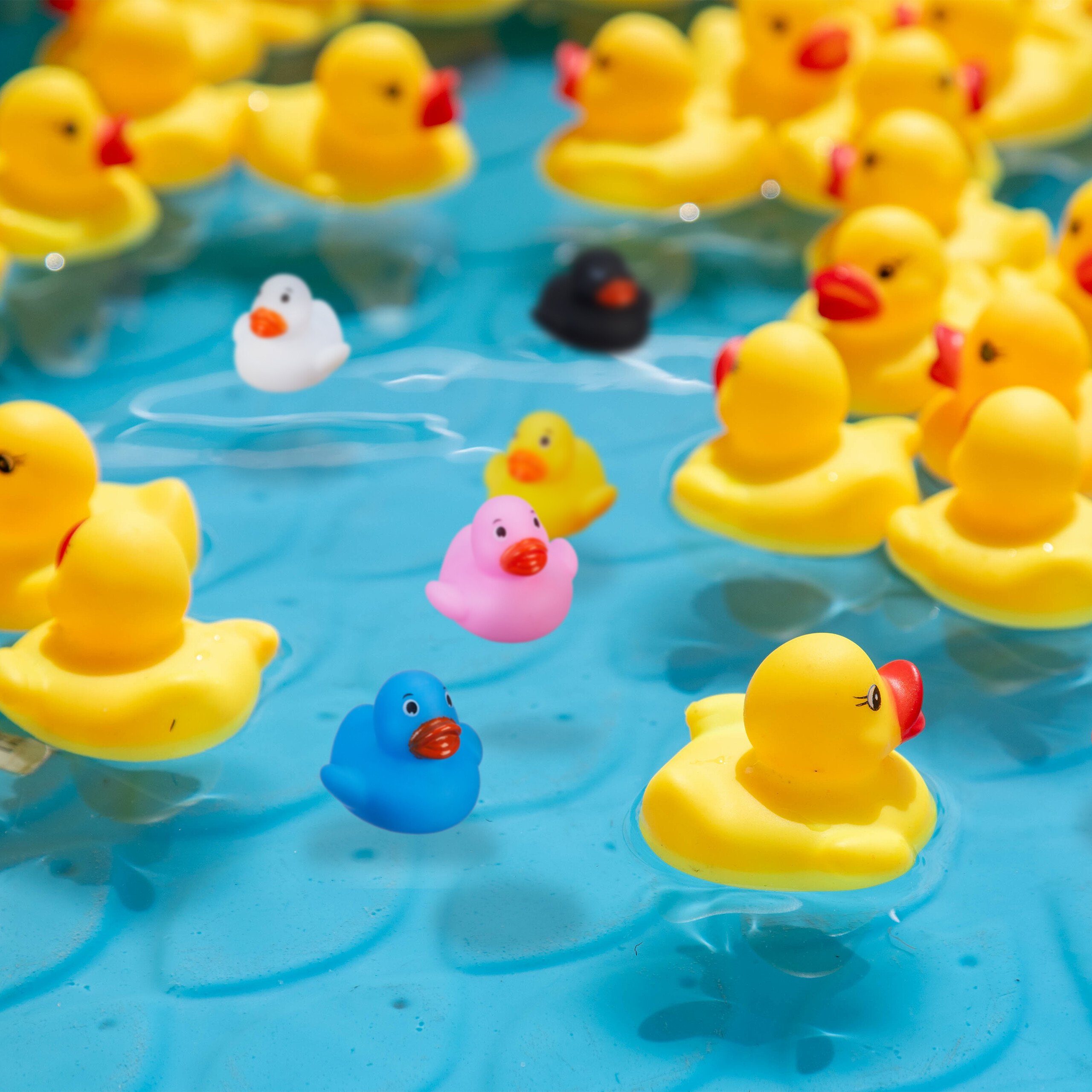 relaxdays Badespielzeug Badeenten im 48er Set günstig online kaufen