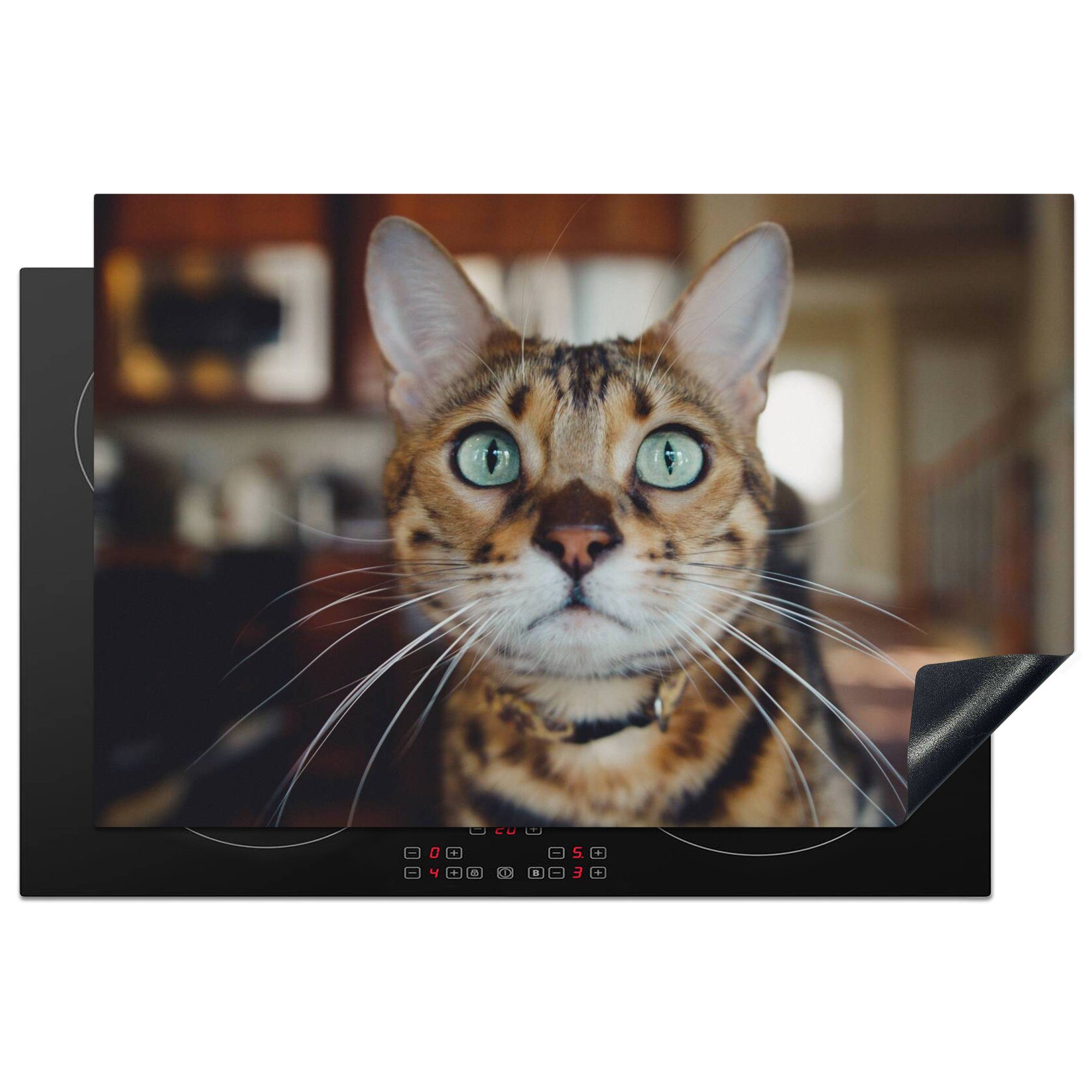 MuchoWow Herdblende-/Abdeckplatte Katze - Schnurrhaare - Porträt, Vinyl, (1 tlg), 81x52 cm, Induktionskochfeld Schutz für die küche, Ceranfeldabdeckung