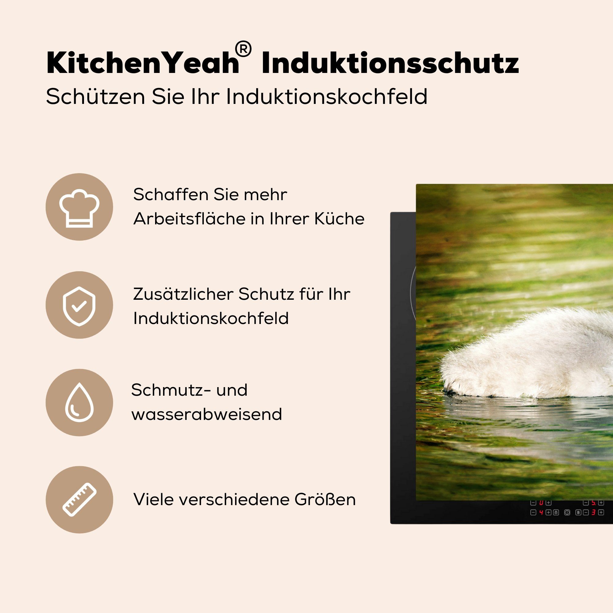 (1 81x52 Vinyl, tlg), für Schwan Baby Herdblende-/Abdeckplatte die cm, MuchoWow Federn, Induktionskochfeld - Ceranfeldabdeckung - Schutz küche,