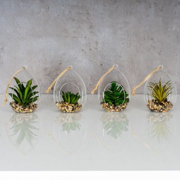 Levandeo® Dekoobjekt, 4er Set Sukkulenten B x H 8,5x12,5cm Glas Kunstpflanze Grün
