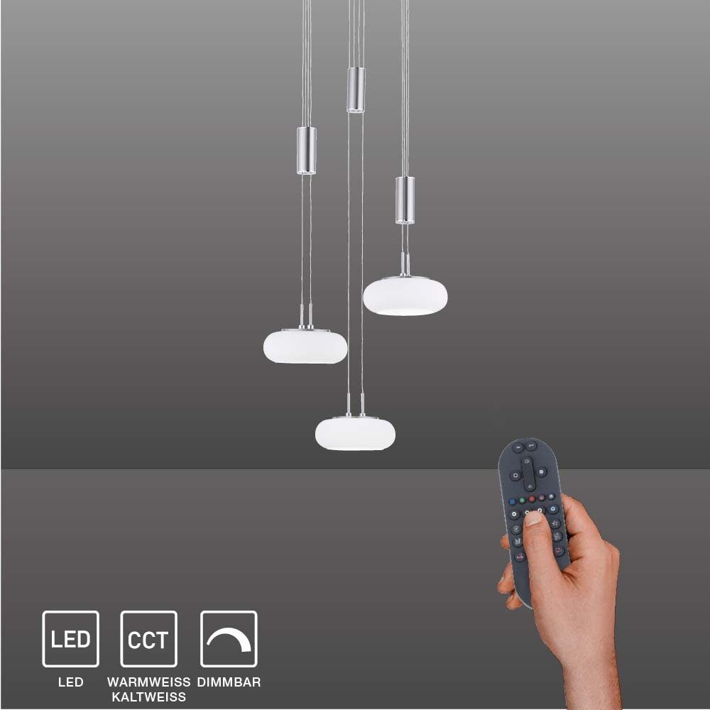 Paul Neuhaus Smarte LED-Leuchte LED Pendellampe günstig online kaufen
