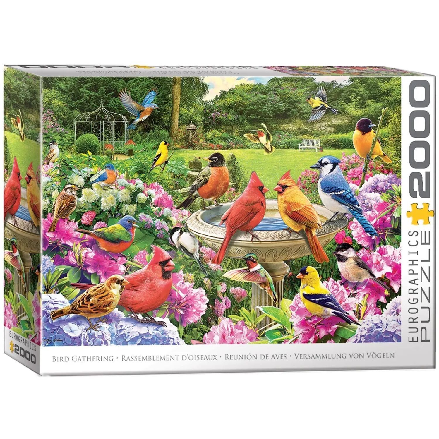 EUROGRAPHICS Puzzle Gartenvögel Treffen, 2000 Puzzleteile