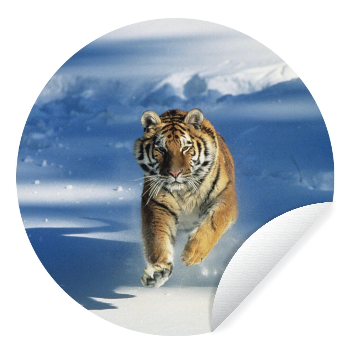 Wandsticker Sibirischer Schnee Tapetenkreis Tapetenaufkleber, im Rund, Tiger (1 St), Wohnzimmer MuchoWow Kinderzimmer, in für Aktion
