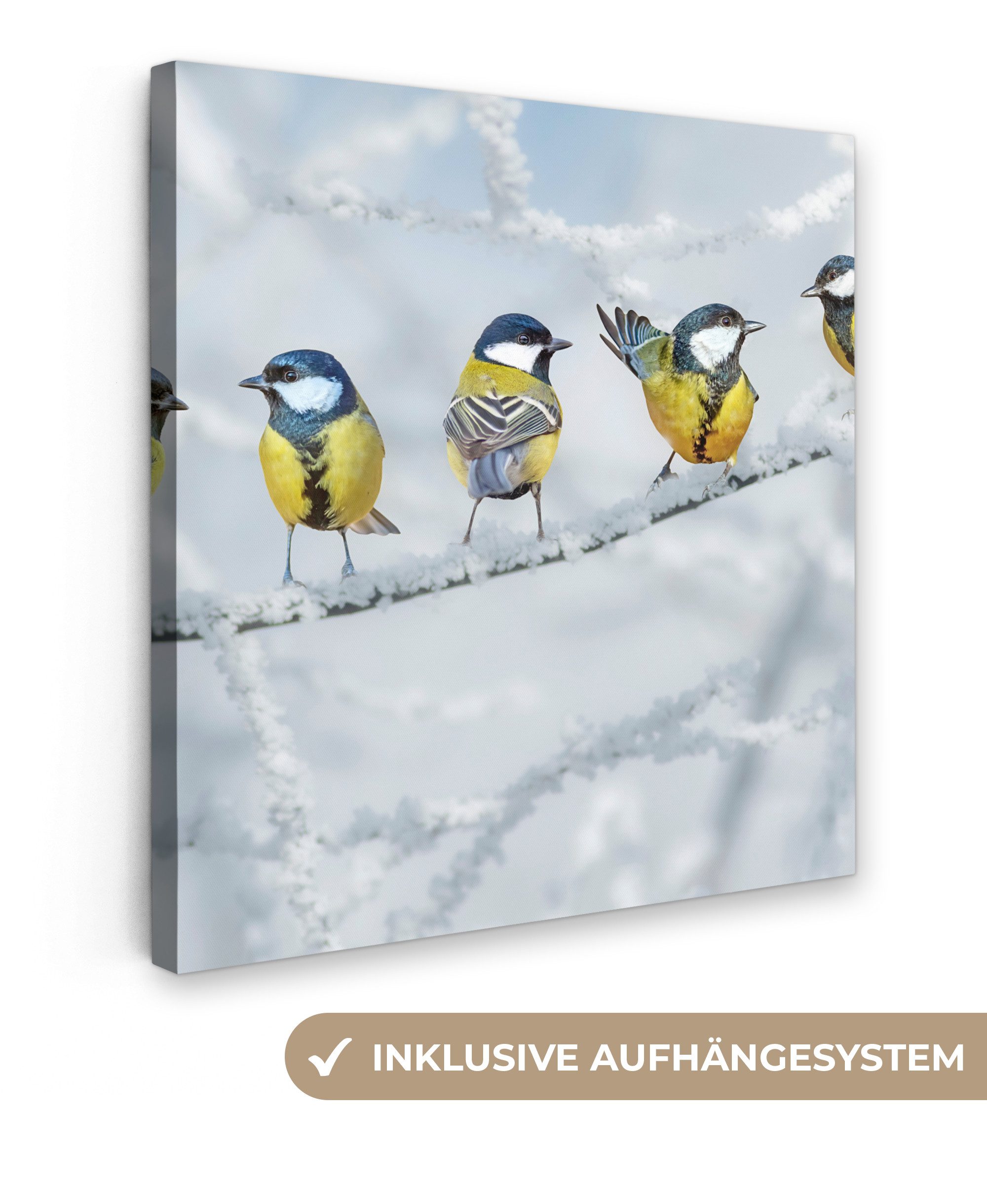 OneMillionCanvasses® Leinwandbild Vogel - Kohlmeise - Winter - Schnee - Zwe günstig online kaufen