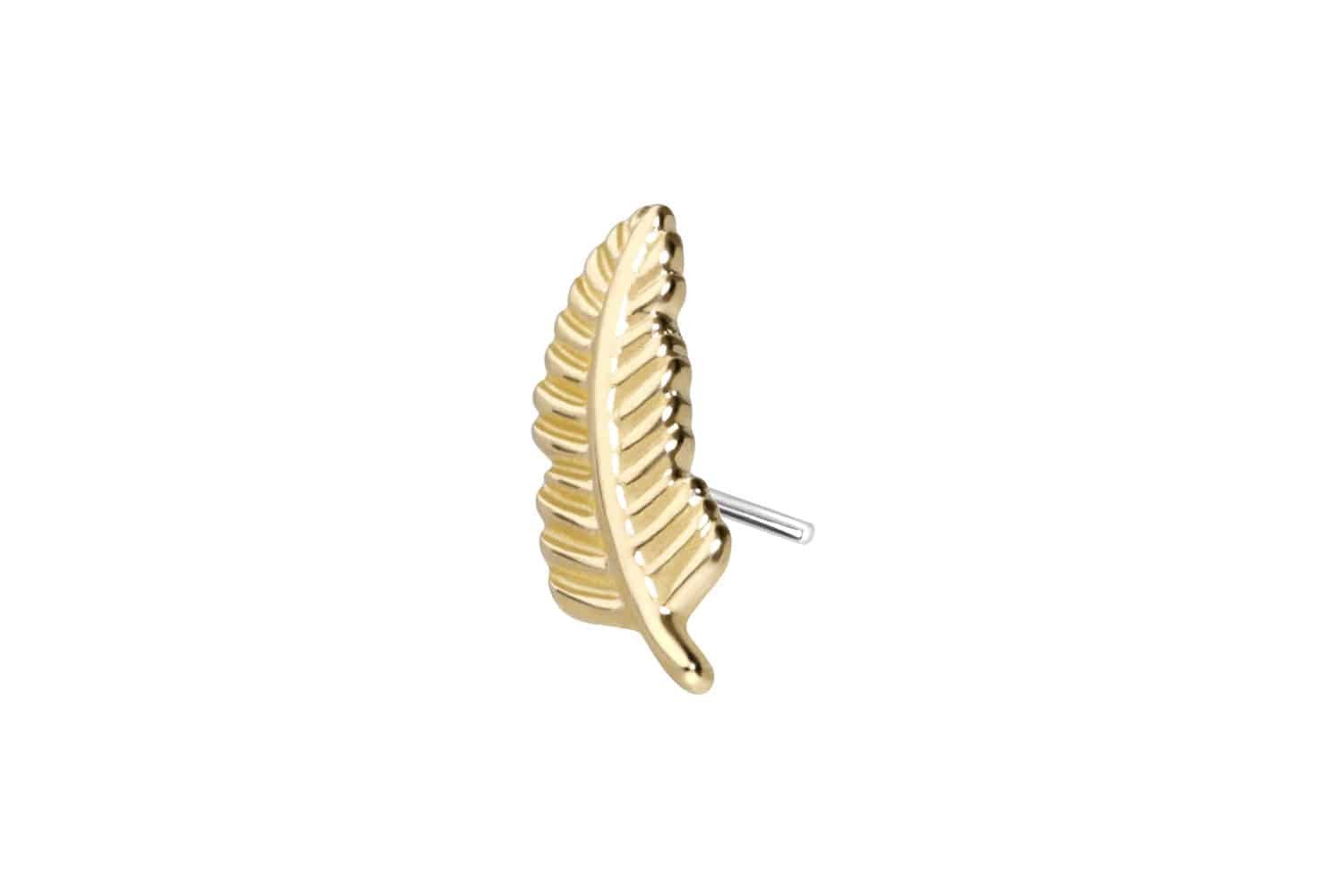 Piercing-Set 14 Karat Gold Aufsatz mit Titan Push Pin FEDER