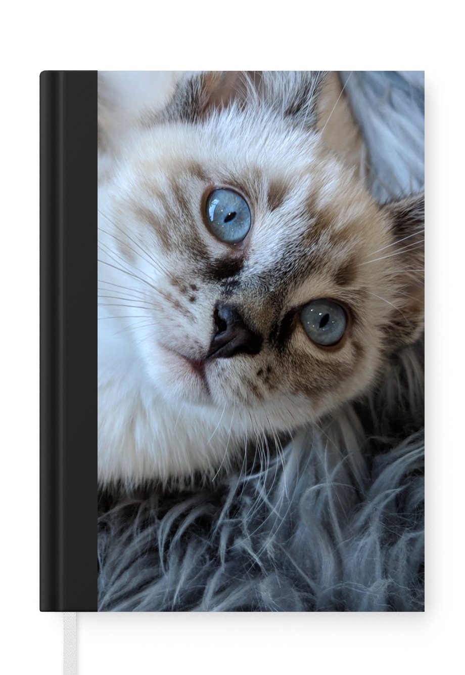 MuchoWow Notizbuch Siamesisches Kätzchen mit blauen Augen auf einem Schaffellteppich, Journal, Merkzettel, Tagebuch, Notizheft, A5, 98 Seiten, Haushaltsbuch