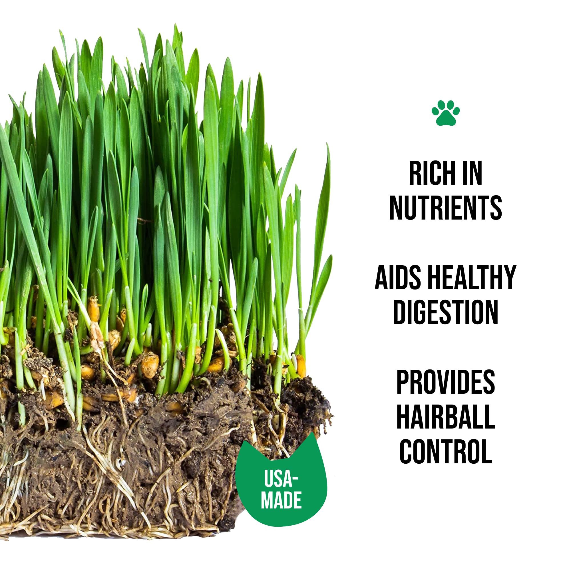 The Cat Ladies Rasensamen The Cat Ladies Katzengras Kit mit Keramik Pflanzg günstig online kaufen