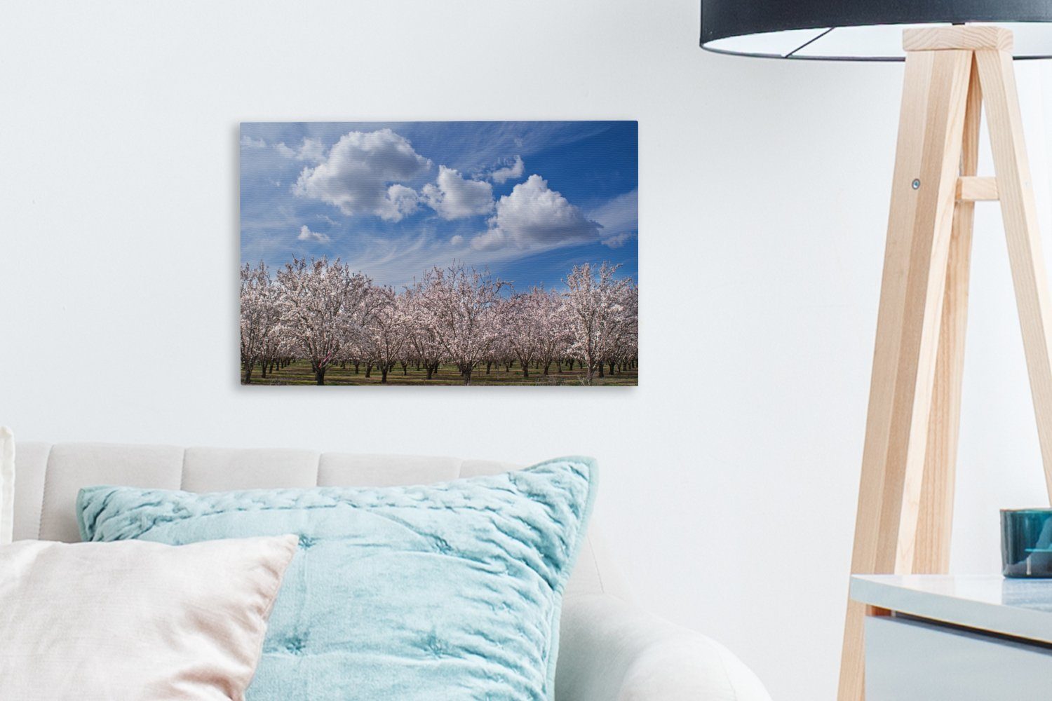 OneMillionCanvasses® (1 Himmel, Wanddeko, Aufhängefertig, Leinwandbild St), Mandelbäume Wandbild klarem Leinwandbilder, 30x20 cm unter