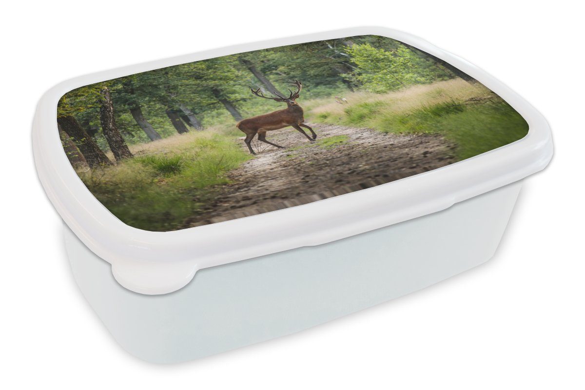 MuchoWow Lunchbox Wald - Hirsche - Bäume, Kunststoff, (2-tlg), Brotbox für Kinder und Erwachsene, Brotdose, für Jungs und Mädchen weiß