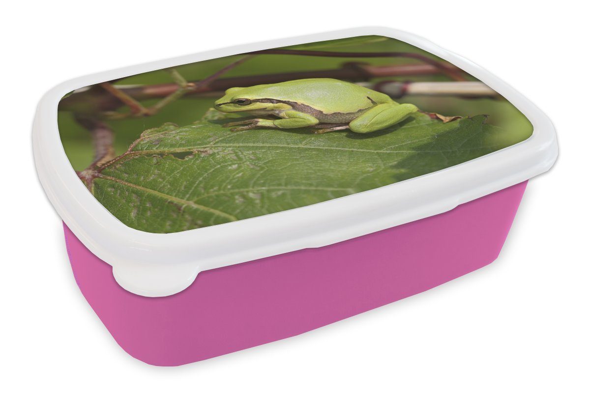 Brotdose (2-tlg), Kinder, Lunchbox Reptilien - - Erwachsene, Frosch Snackbox, rosa Brotbox Mädchen, Kunststoff, Dschungel, MuchoWow Kunststoff für