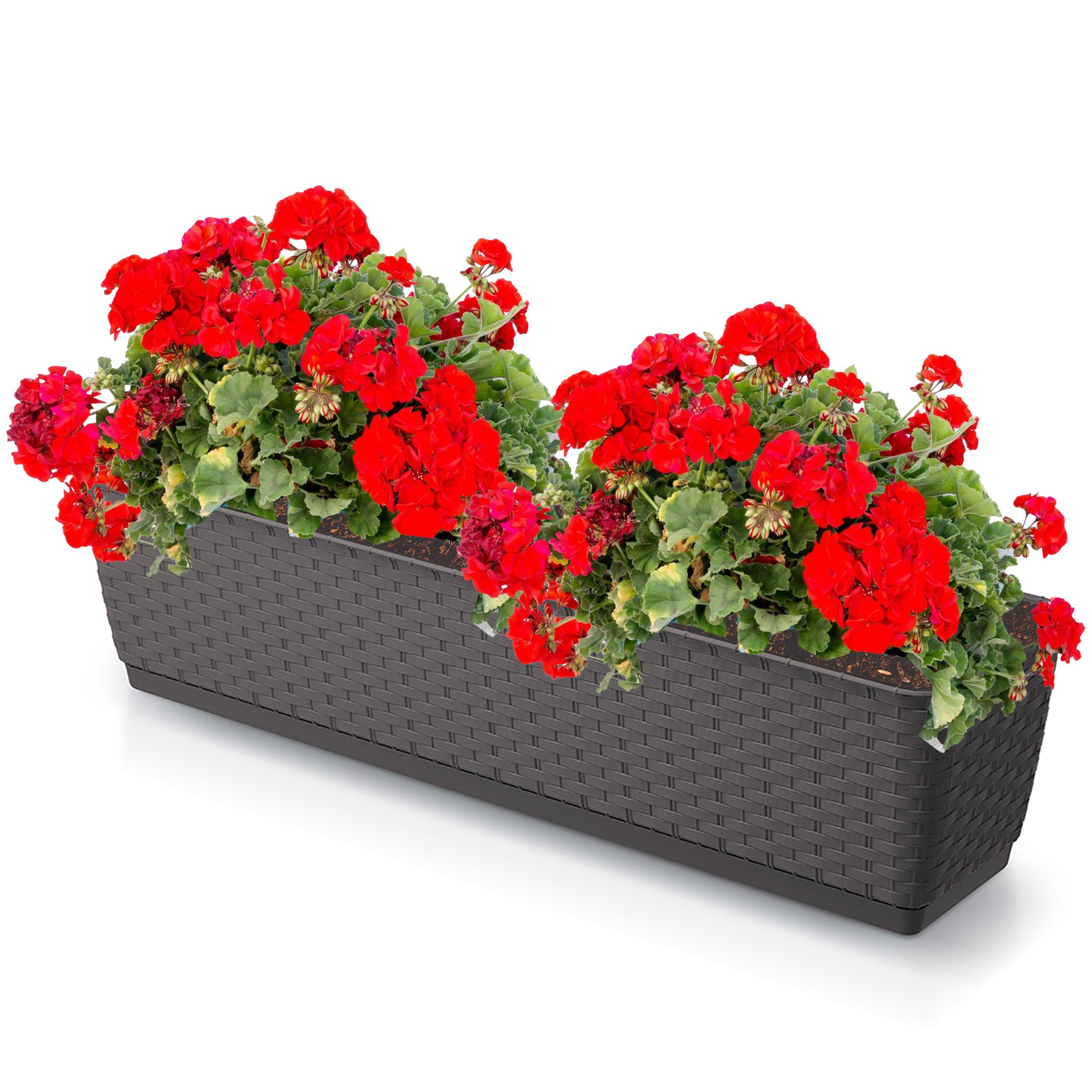 Annastore Blumenkasten Balkonkasten aus wetterfestem Kunststoff günstig online kaufen