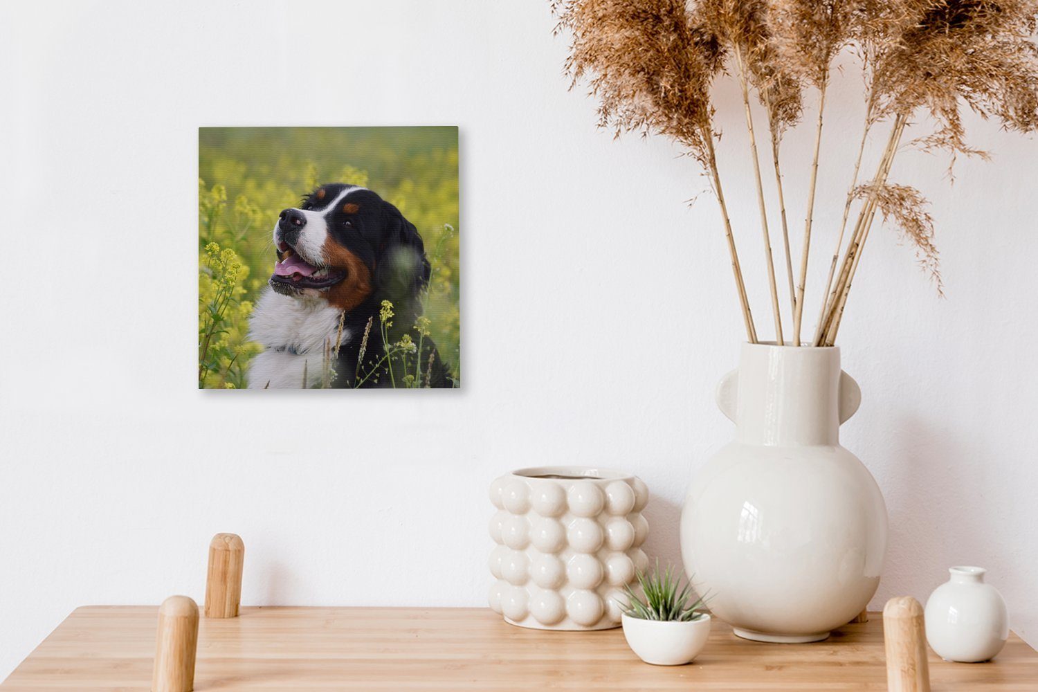 OneMillionCanvasses® Leinwandbild Ein Berner gelben Wohnzimmer (1 Sennenhund Blumen, Schlafzimmer für Bilder St), zwischen Leinwand