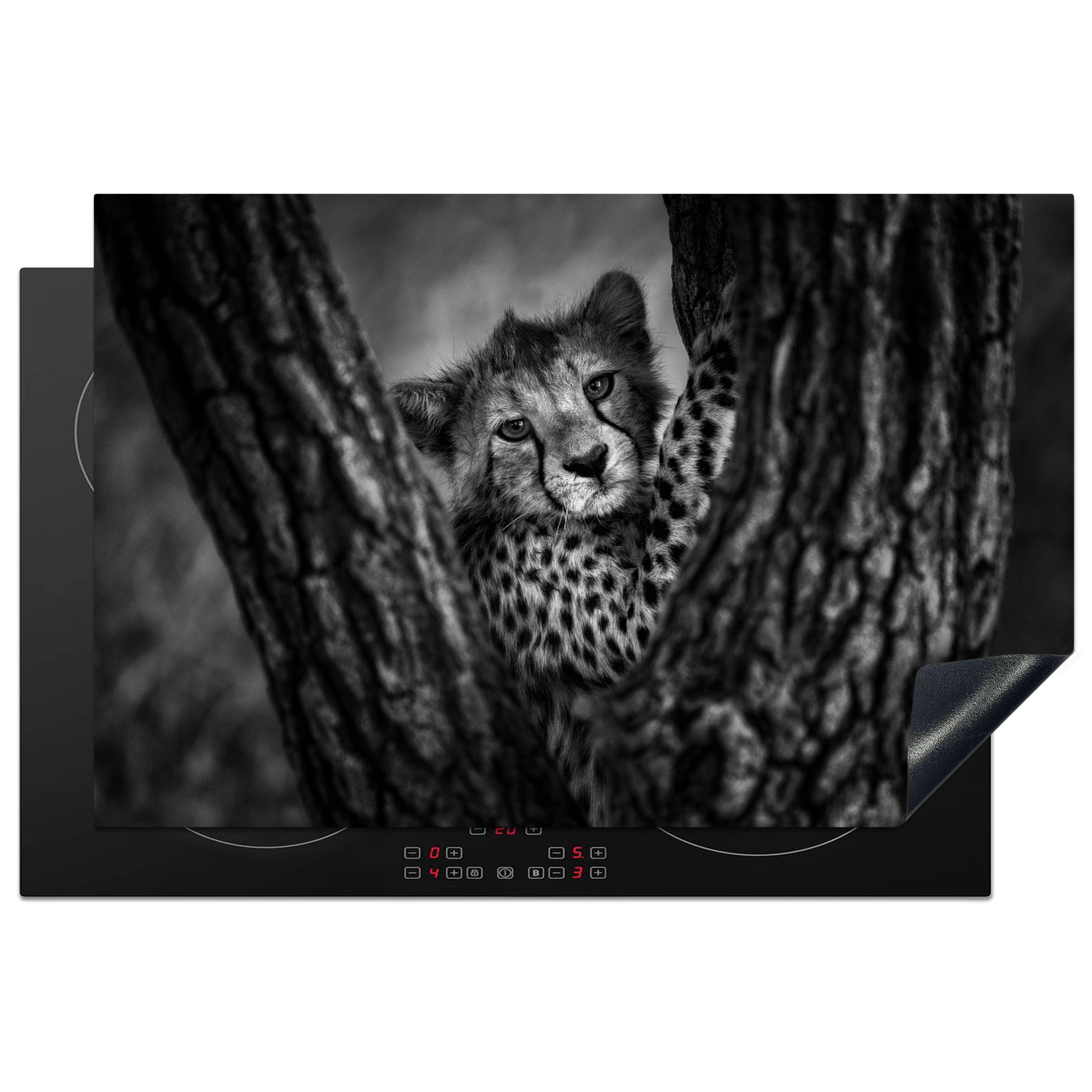 MuchoWow Herdblende-/Abdeckplatte Junger Gepard auf einem Baum, Vinyl, (1 tlg), 81x52 cm, Induktionskochfeld Schutz für die küche, Ceranfeldabdeckung