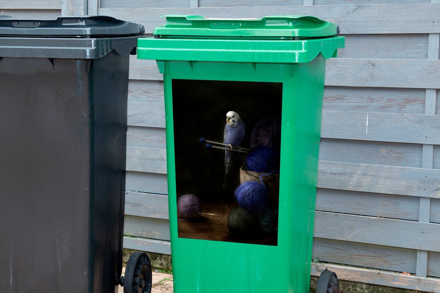 Container, Mülltonne, schwarzem auf Hintergrund St), MuchoWow Wollknäuel mit Sticker, Mülleimer-aufkleber, Sittich (1 Abfalbehälter Wandsticker