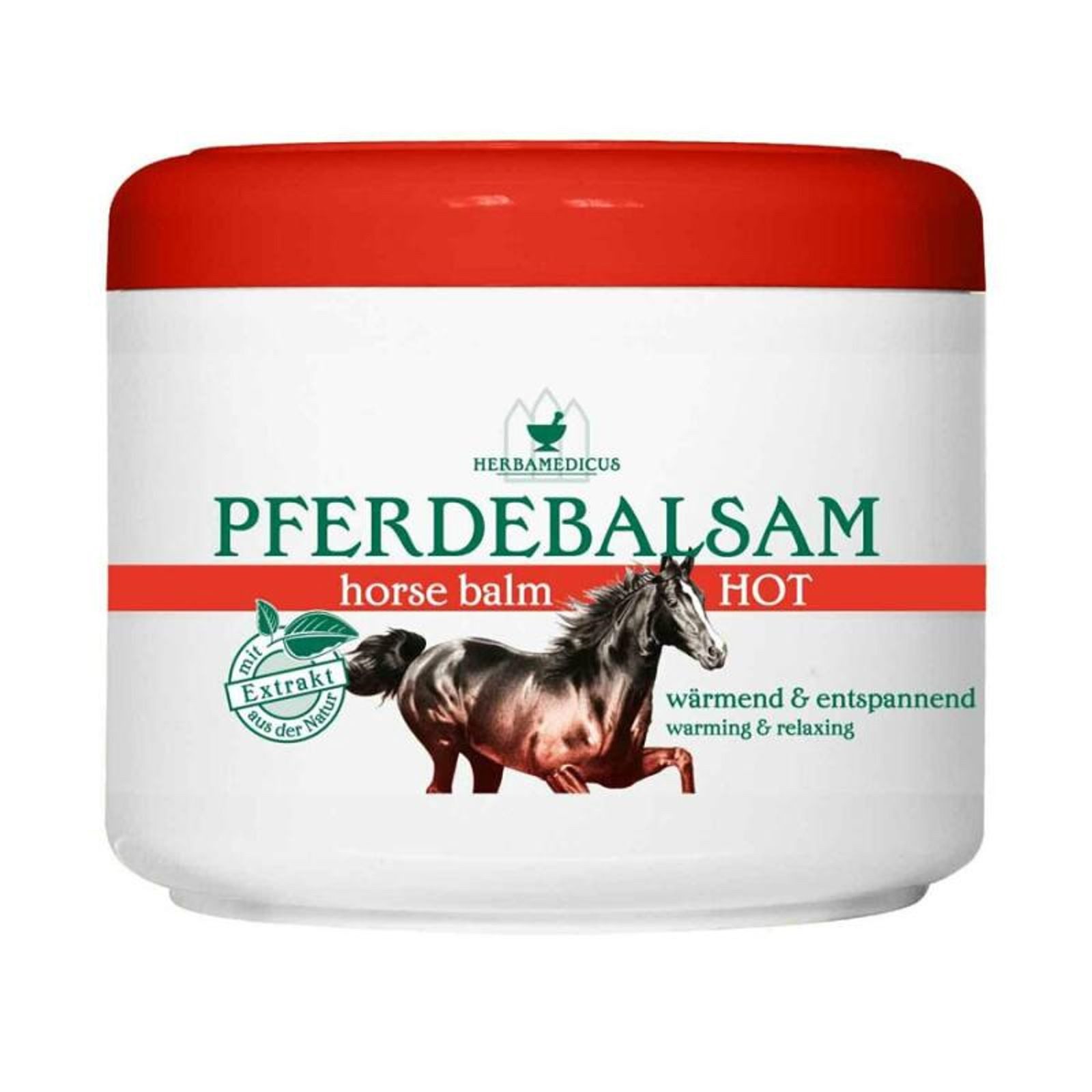 Schmees GmbH Körpercreme 12x Pferdebalsam 500ml Muskelkater Schmerzen Schutz Salbe Pflege Creme, 12-tlg.