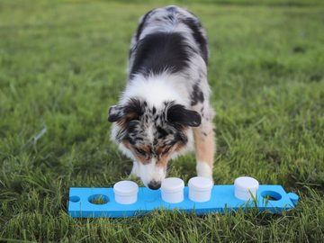 Procyon Tier-Intelligenzspielzeug Schnüffelset für Hunde mit 4 Dosen, (7-tlg) Puzzleplatten