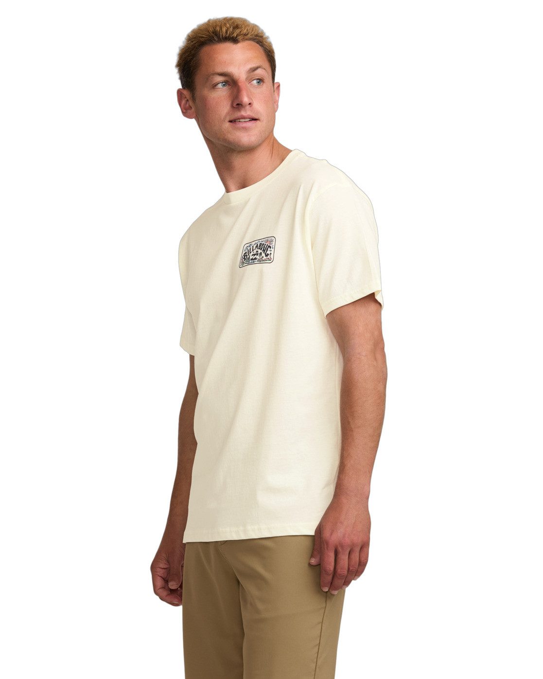 Billabong T-Shirt Scenic Arch günstig online kaufen
