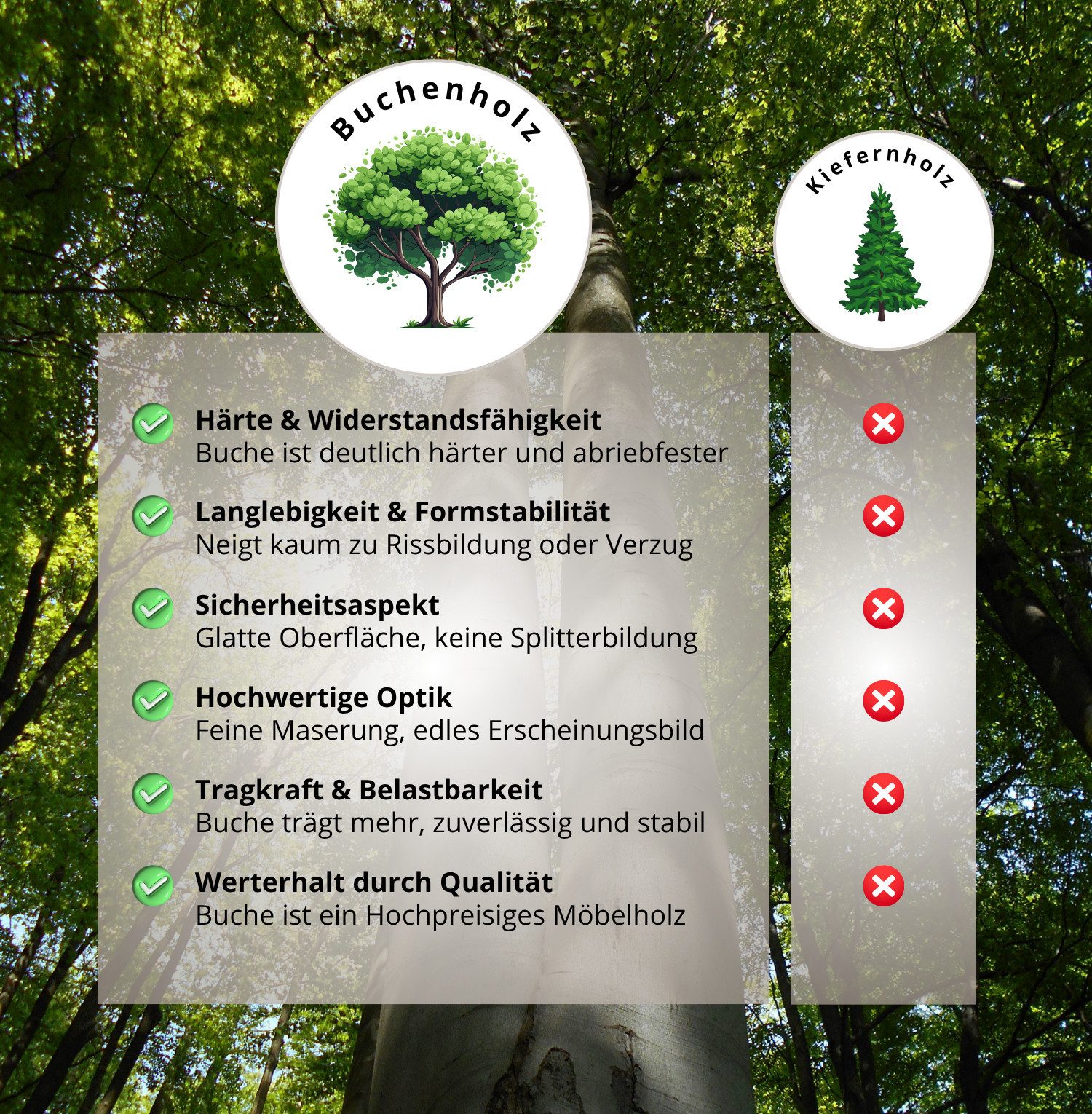 Alavya Home® Hausbett CLOUD aus Buchenholz – Bestseller & beliebt! 100% FSC günstig online kaufen