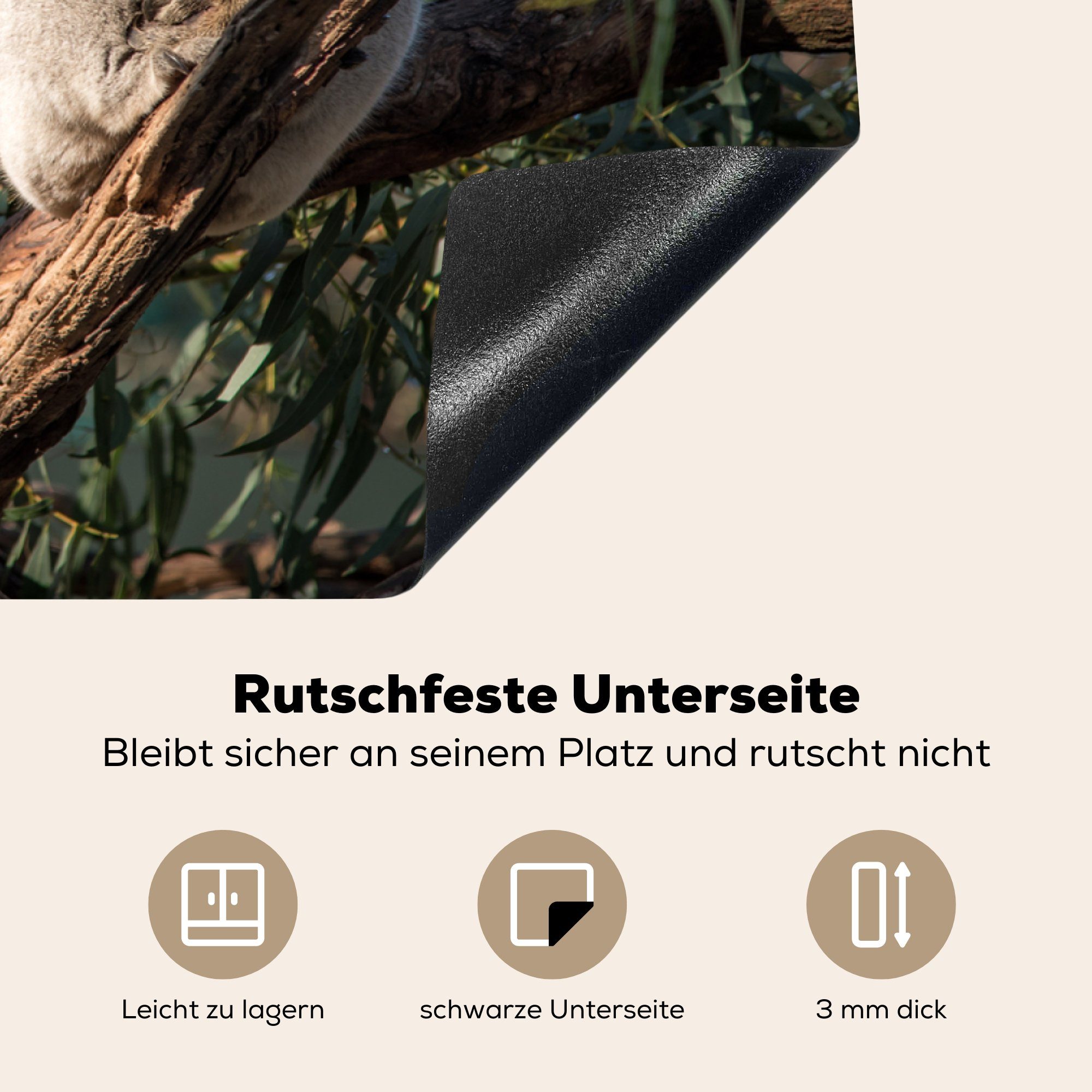 für tlg), 81x52 Herdblende-/Abdeckplatte Eukalyptus - MuchoWow küche, Vinyl, die Ceranfeldabdeckung - (1 Koala Induktionskochfeld cm, Australien, Schutz