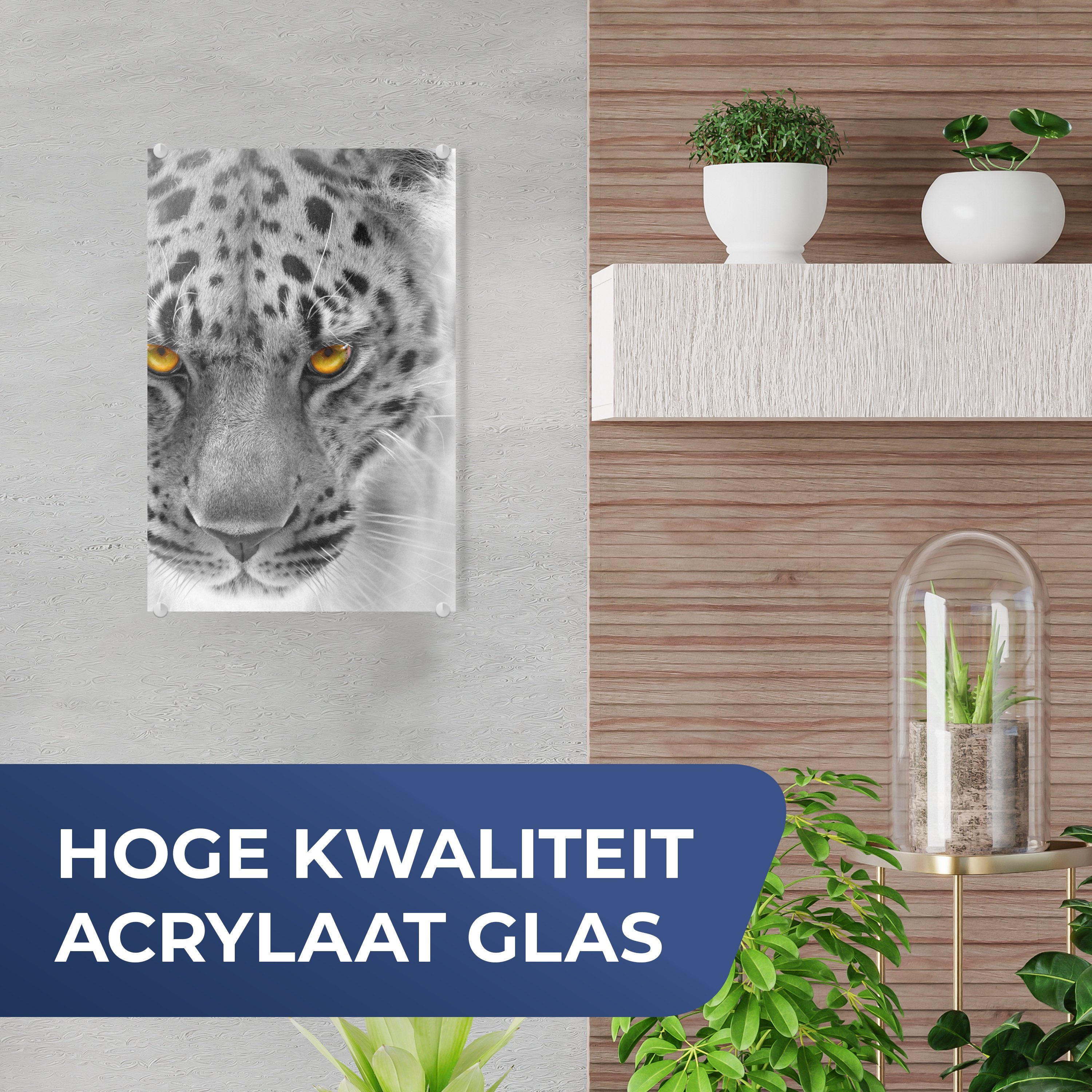 auf Wandbild Glas Foto - Glas - auf MuchoWow Schwarz Weiß Acrylglasbild (1 - Glasbilder - Bilder Wanddekoration Gelb, - Leopard St), -