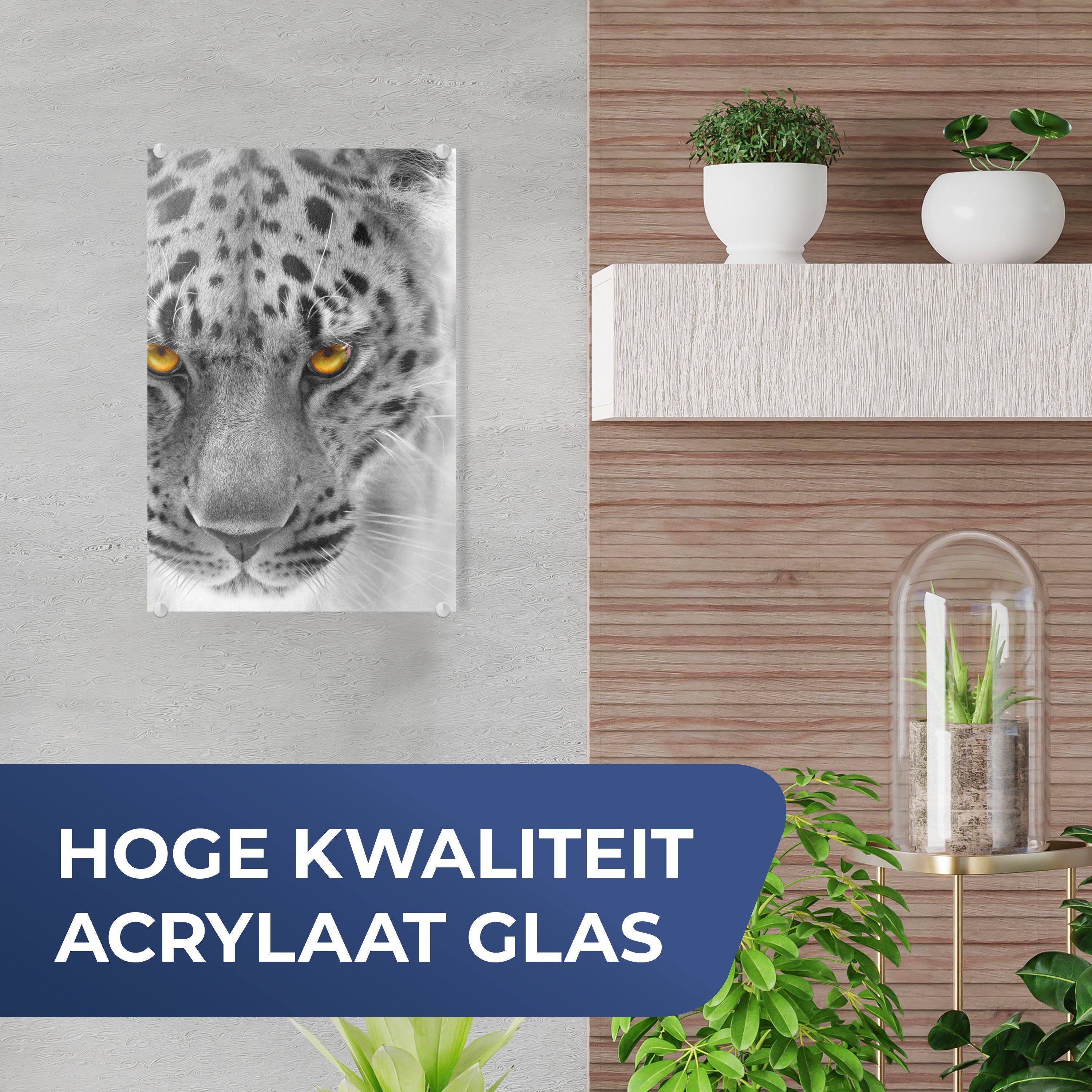 MuchoWow Acrylglasbild Wanddekoration auf Leopard - St), Wandbild Glas (1 Weiß Glas - - Foto Bilder Schwarz - - auf Glasbilder Gelb, 