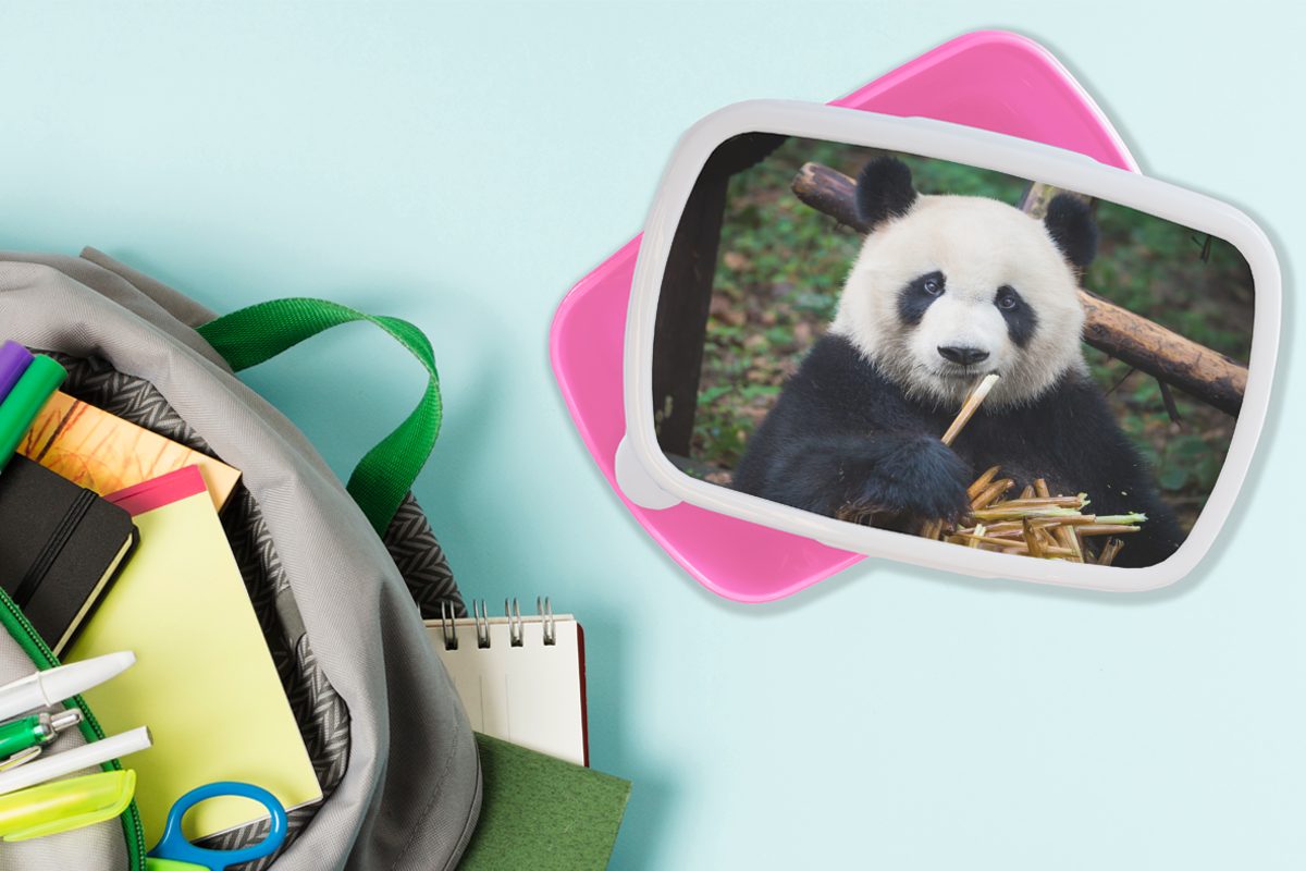 MuchoWow Lunchbox Panda - Bambus Mädchen, Brotbox Natur, Brotdose rosa Kunststoff (2-tlg), Kinder, - für Snackbox, Erwachsene, Kunststoff