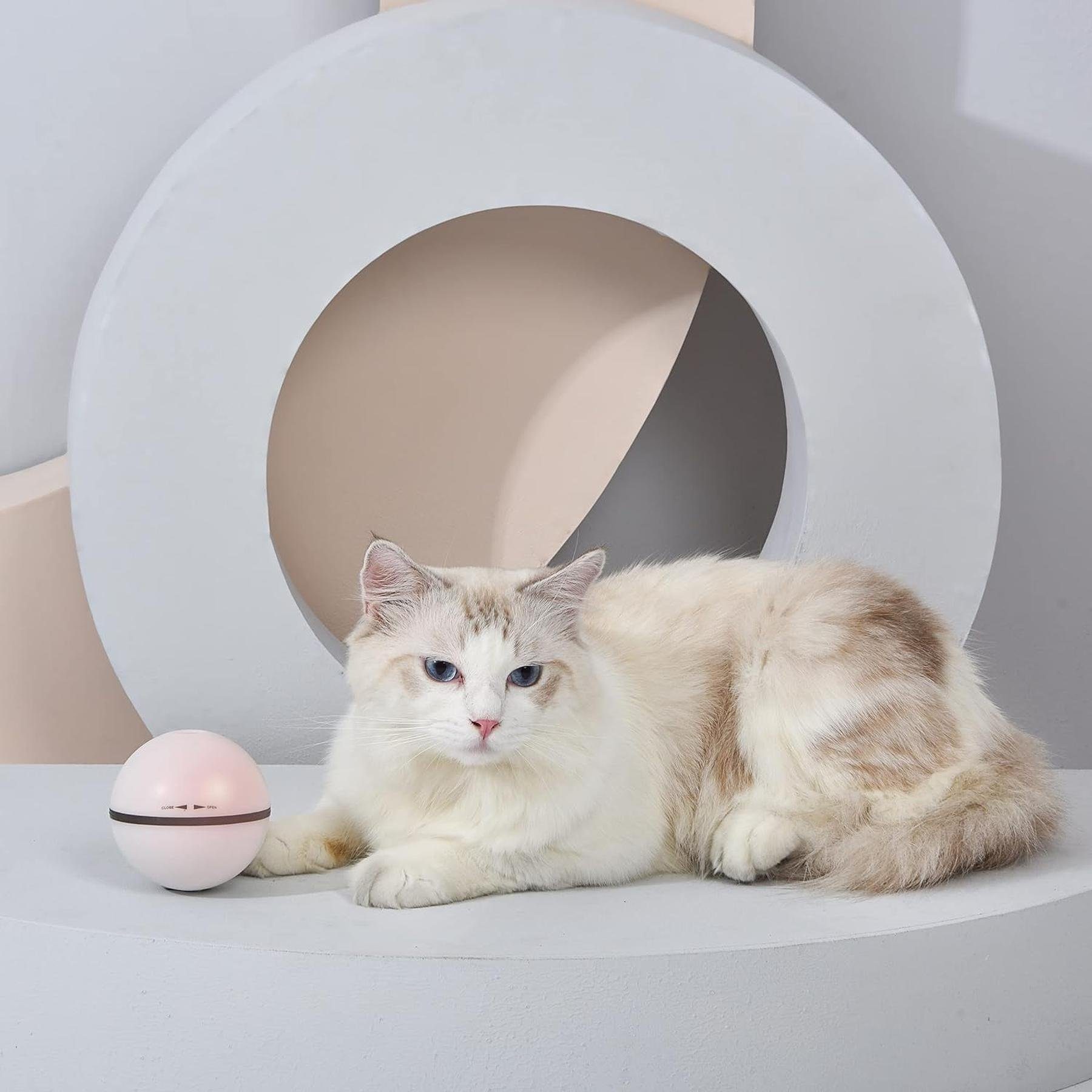 Dogness Tierball DOGNESS Katzen Spielball mit Katzenminze, LED Licht