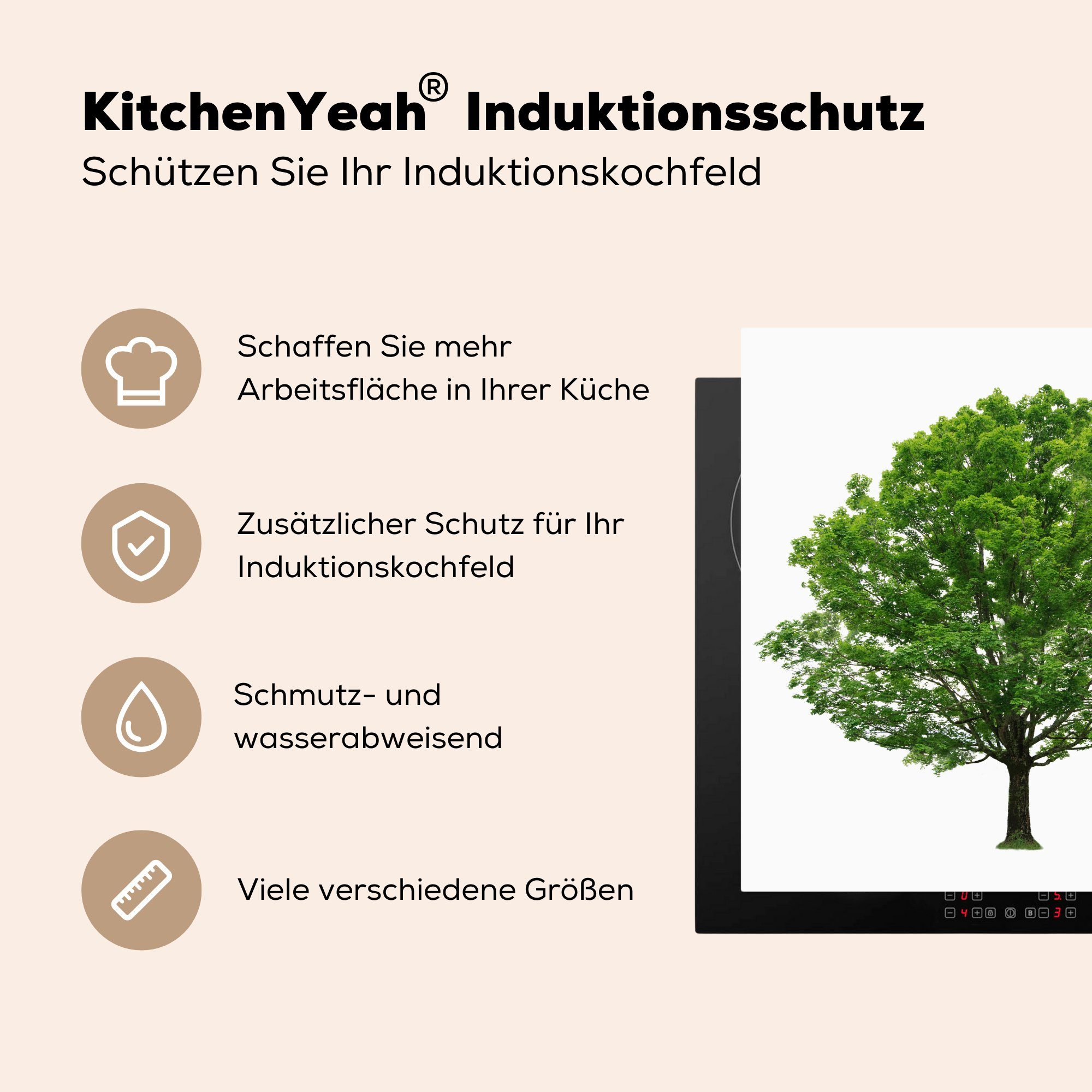 Ahornbaum MuchoWow Herdblende-/Abdeckplatte (1 für küche tlg), cm, Arbeitsplatte weißem 78x78 Hintergrund, auf Ceranfeldabdeckung, Vinyl,