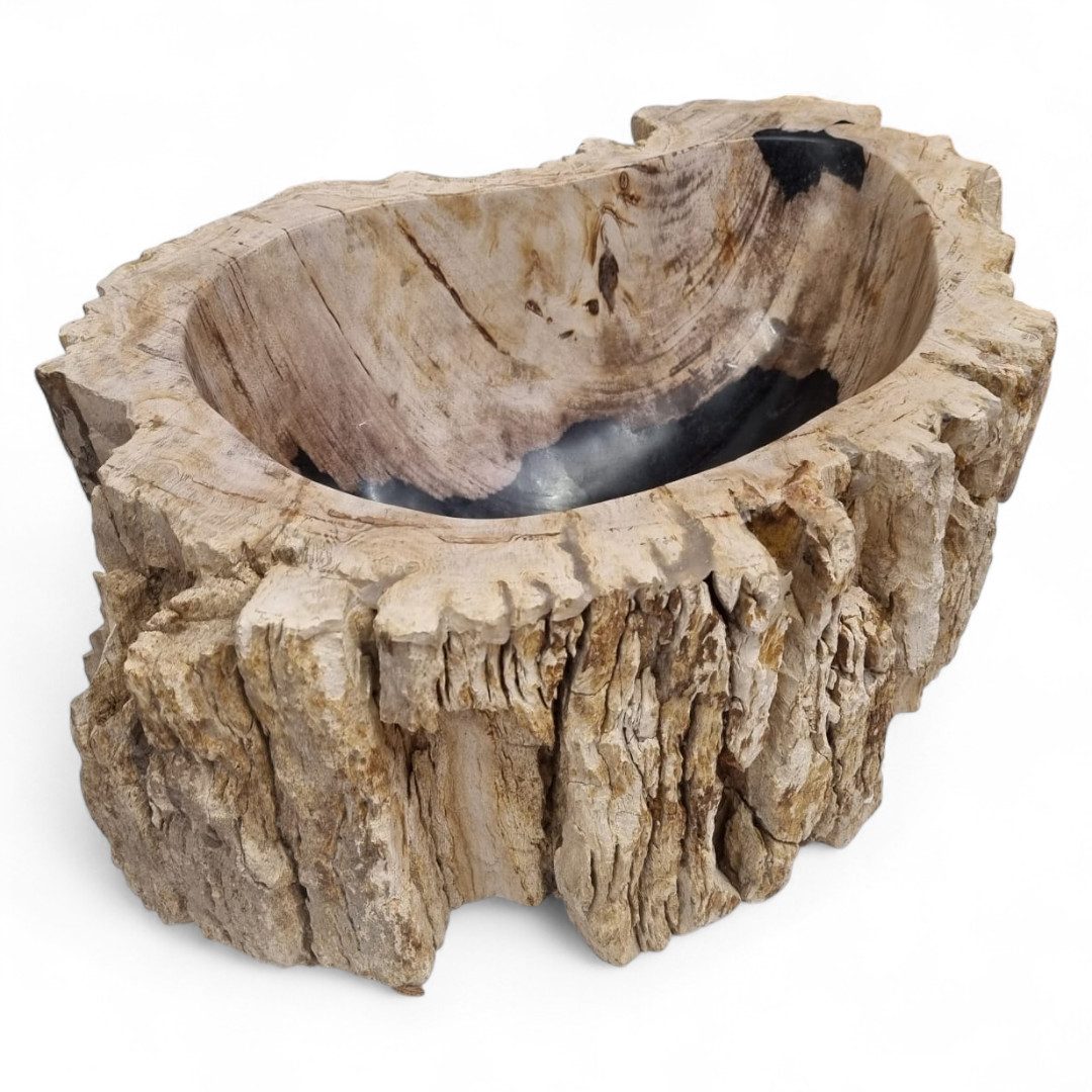 Kinaree Aufsatzwaschbecken Versteinertes Holz Waschbecken #41