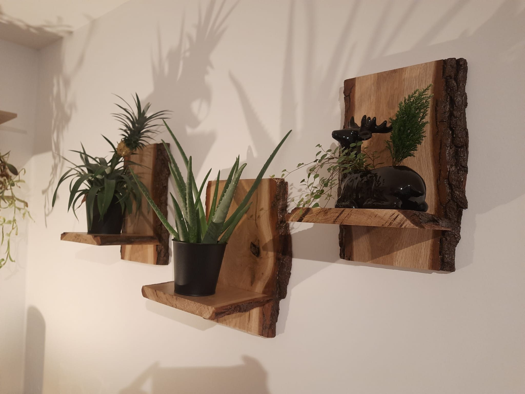 Roomberry Deko-Wandregal Schwendes Holz Regal aus Eichen-Holz - Rustikaler günstig online kaufen