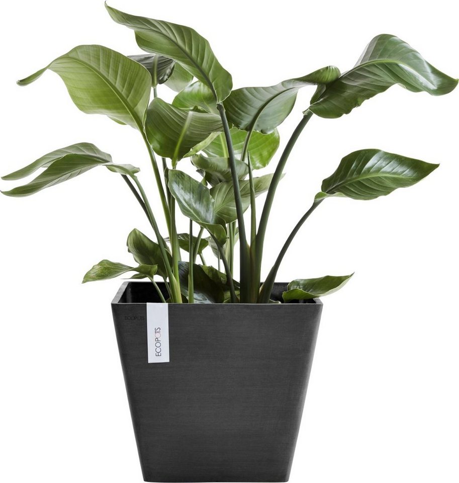 Thumbnail - ECOPOTS Blumentopf ROTTERDAM Dark Grey, BxTxH: 50x50x44 cm
