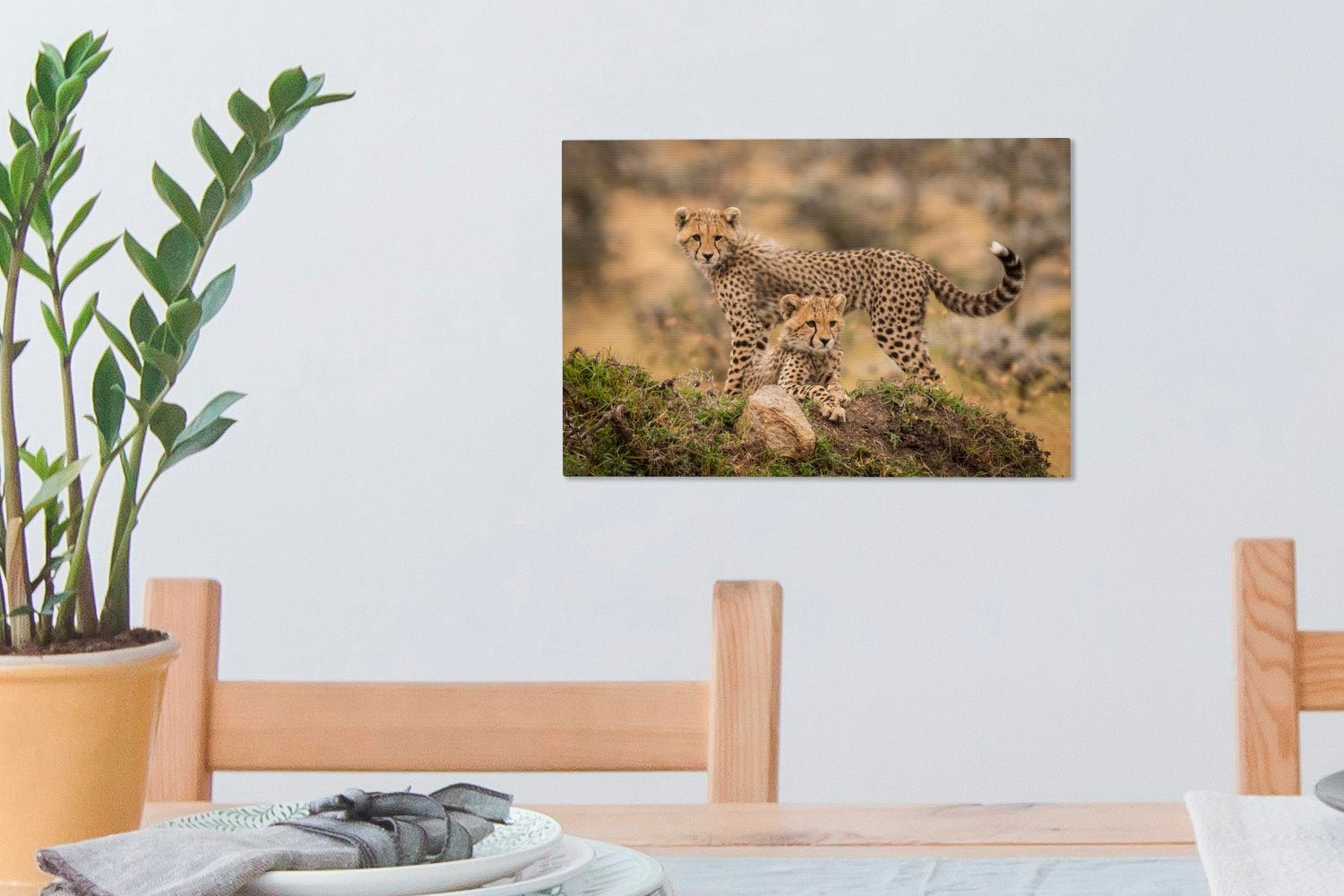 OneMillionCanvasses® Leinwandbild Natur, St), Wanddeko, (1 Aufhängefertig, 30x20 Jungtier Wandbild Leopard - Leinwandbilder, - cm
