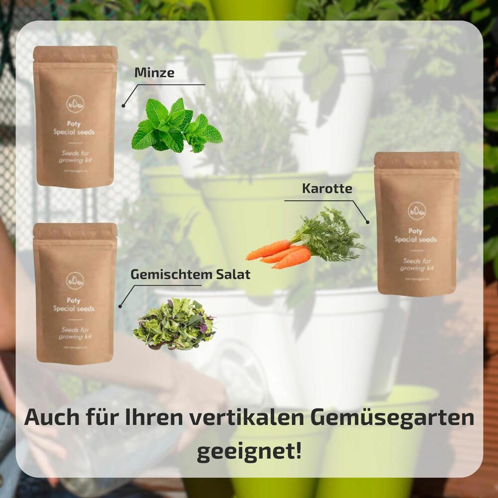 hexagro Anzuchttopf Set Sommersalate, mit 3 Sorten Samen