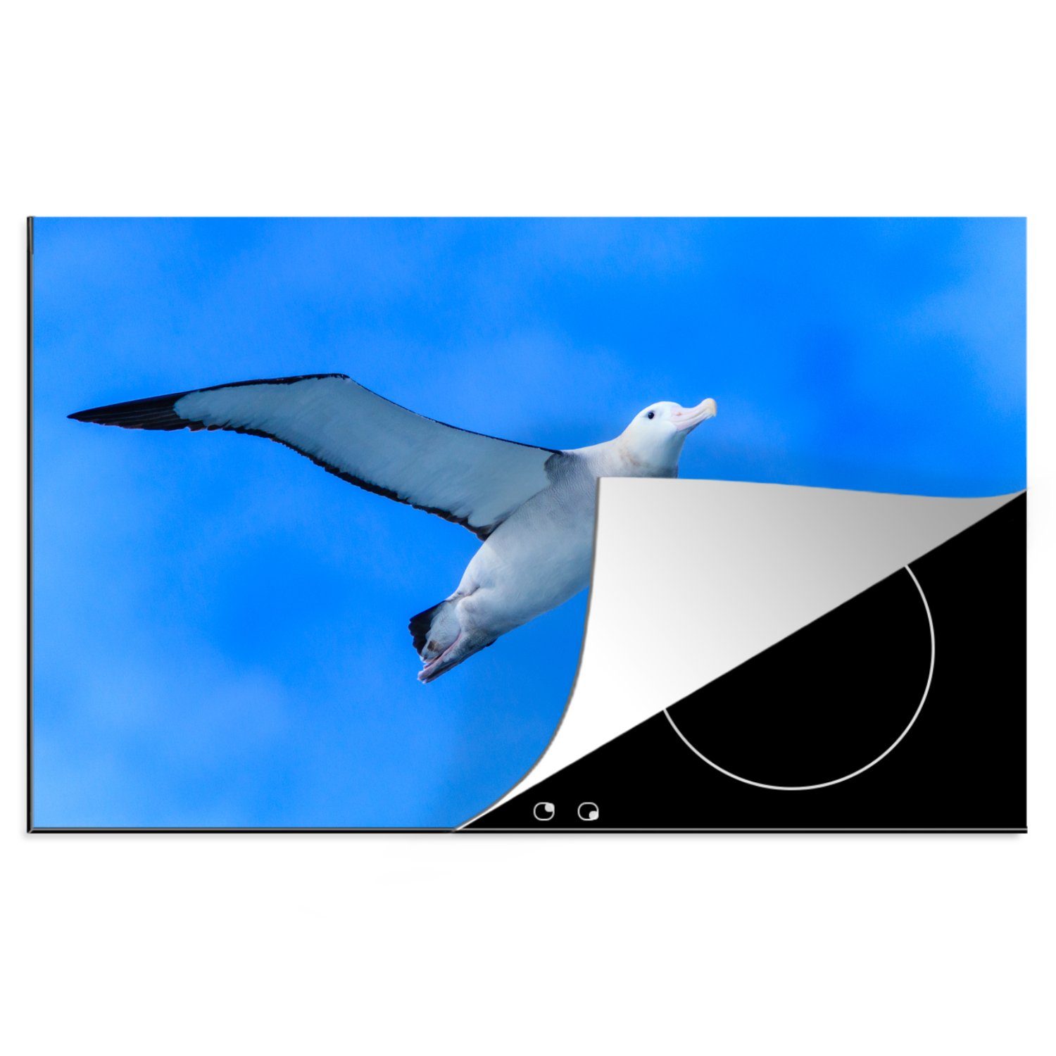 MuchoWow Herdblende-/Abdeckplatte Albatros - Luft - Blau, Vinyl, (1 tlg), 81x52 cm, Induktionskochfeld Schutz für die küche, Ceranfeldabdeckung