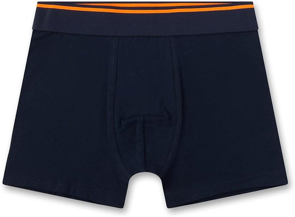 Sanetta Slip Sanetta Jungen 2er Pack Unterhosen Boxershorts Adler braun schwarz (Doppelpack, 1-St)