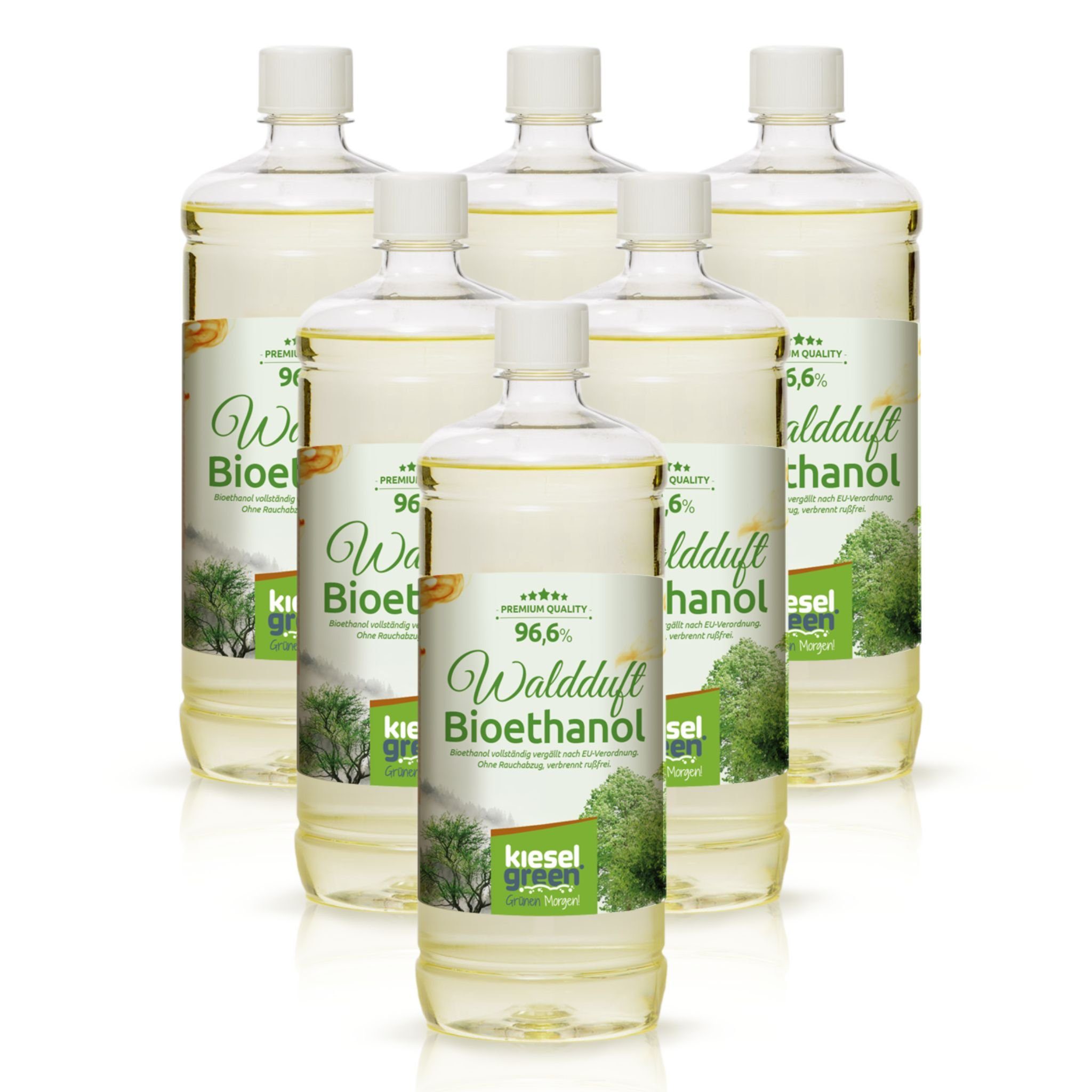 KieselGreen Bioethanol KieselGreen Bioethanol Flasche 6 x 1 Liter mit Duft für Ethanol-Kamin