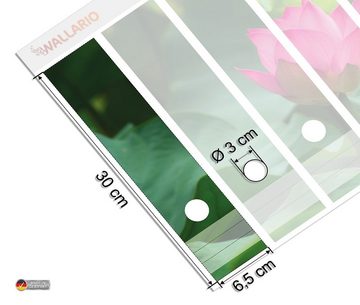 Wallario Etiketten Pinke Lotosblüte im Sonnenschein, Ordnerrücken-Sticker in verschiedenen Ausführungen
