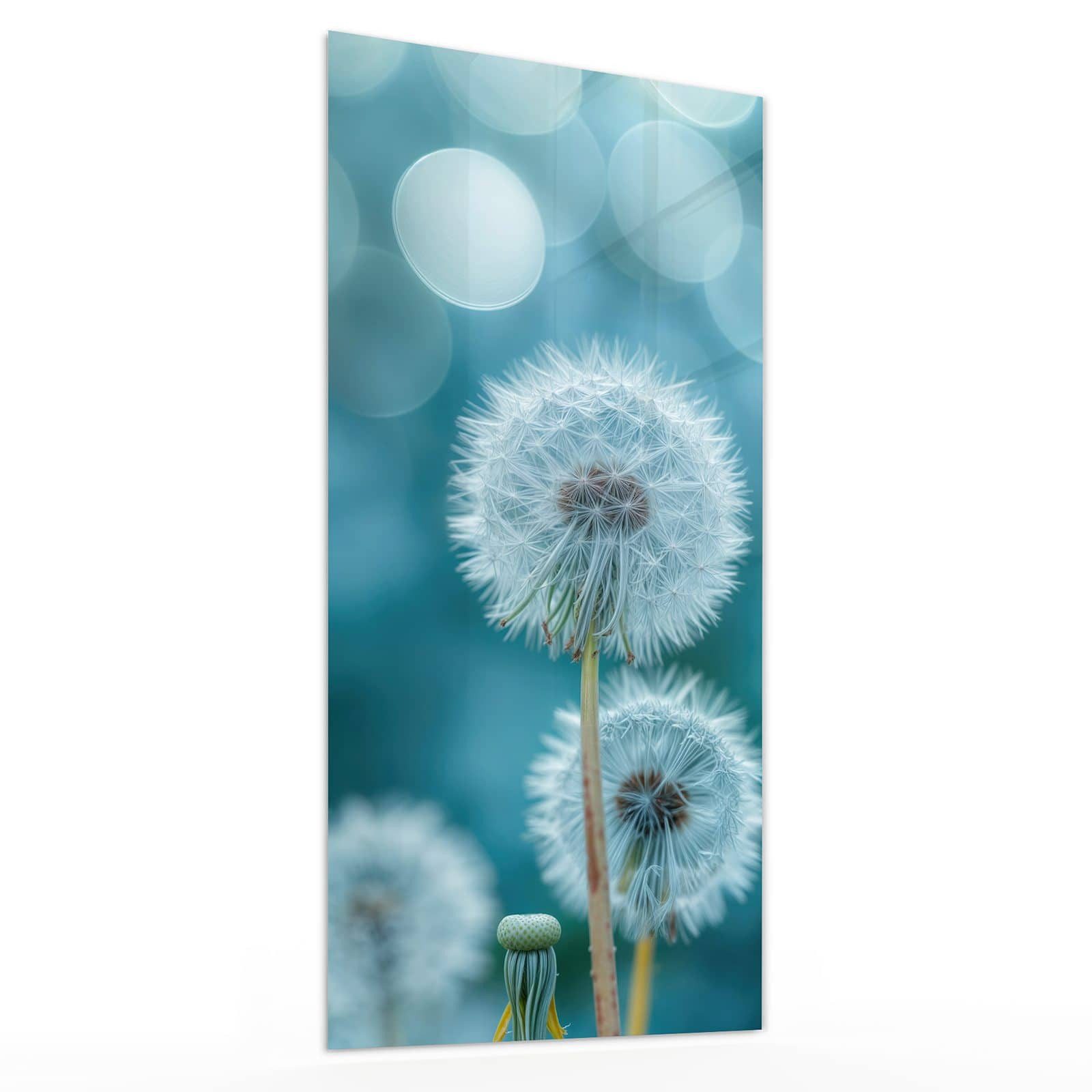 Glasbild Wandbild Löwenzahnwiese mit Aufhängung