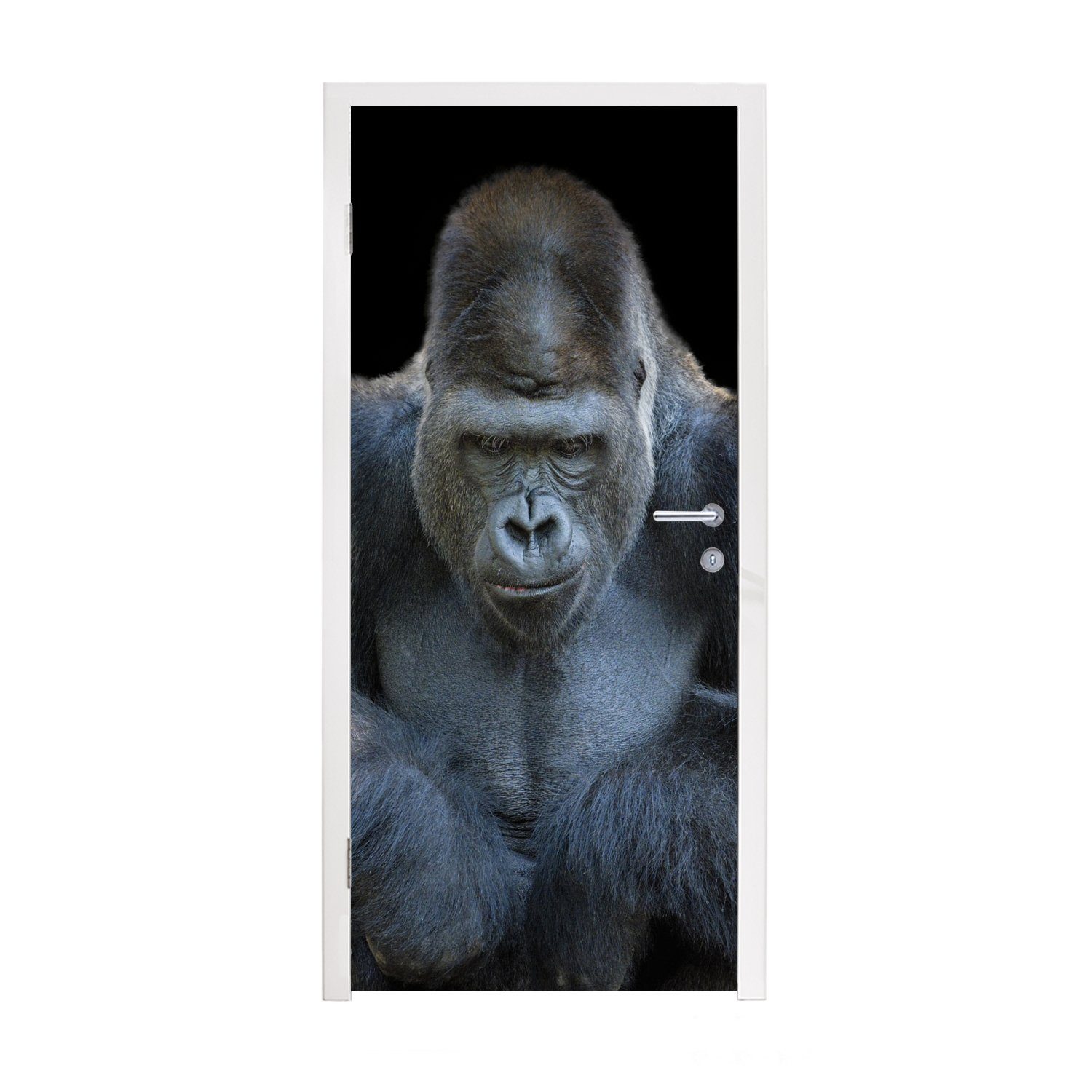 St), Fototapete Matt, für Ein in bedruckt, Kamera, 75x205 schaut Gorilla die Türtapete Tür, Türaufkleber, MuchoWow cm eindrucksvoll (1