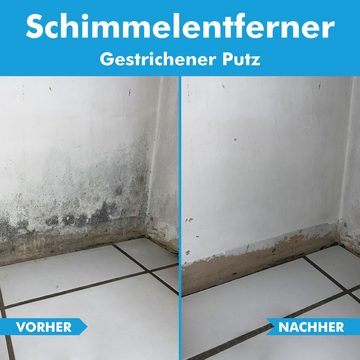 ABACUS Anti-Schimmel-Spray, Schimmelex für Wand und Bad, Anti-Schimmel Schimmelentferner (inkl. Experten Tipps, [2-St. 2x750ml Sofortwirkung mit Langzeiteffekt)