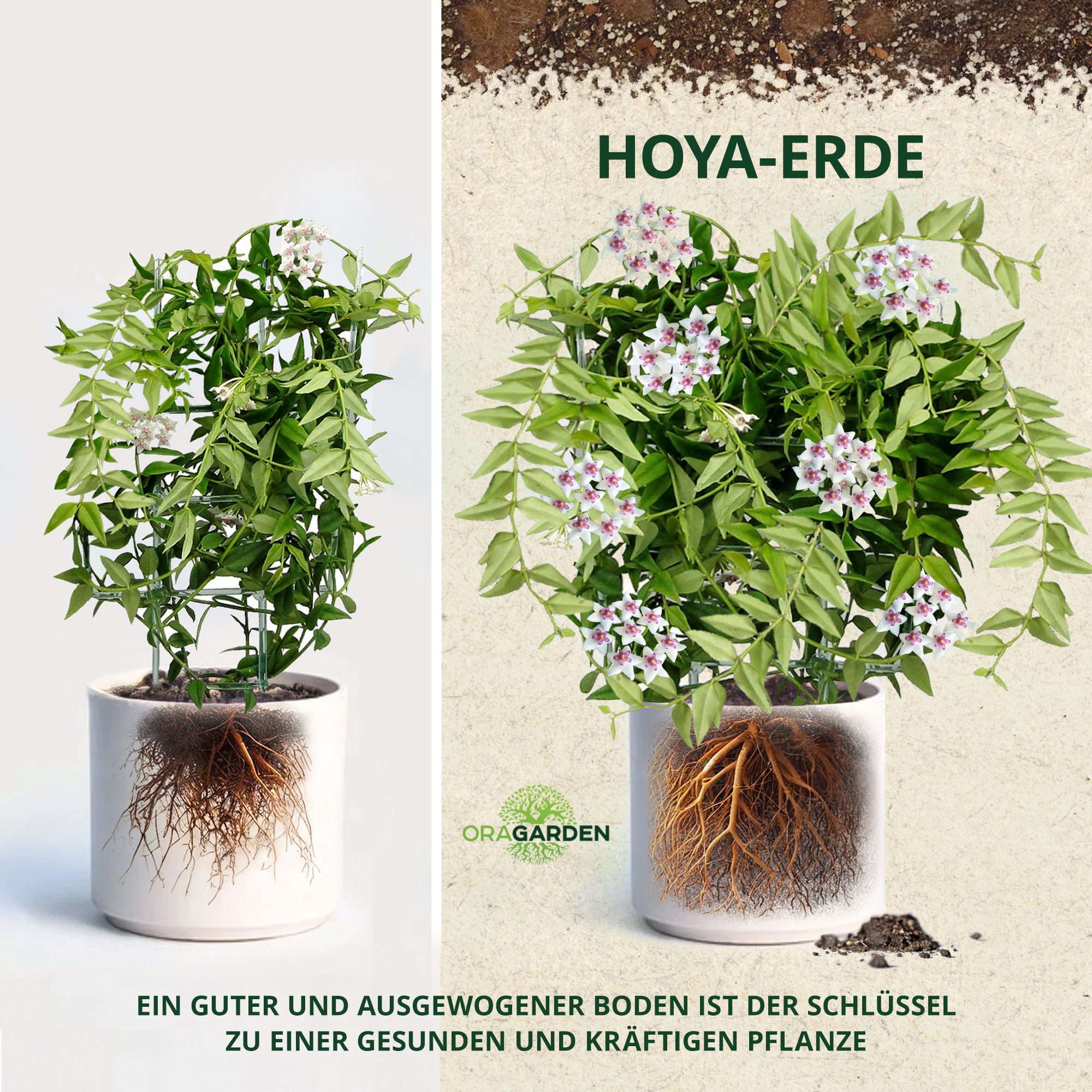 OraGarden Gartenbau-Substrat Hoya-Erde, mit Wurmhumus – Bild 3 von 5